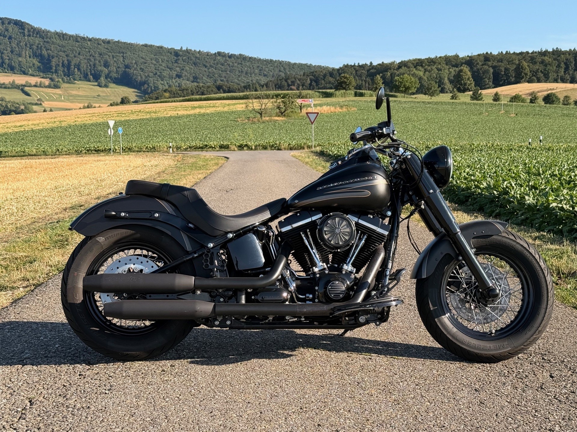 HARLEY-DAVIDSON FLS Softail Slim ABS
