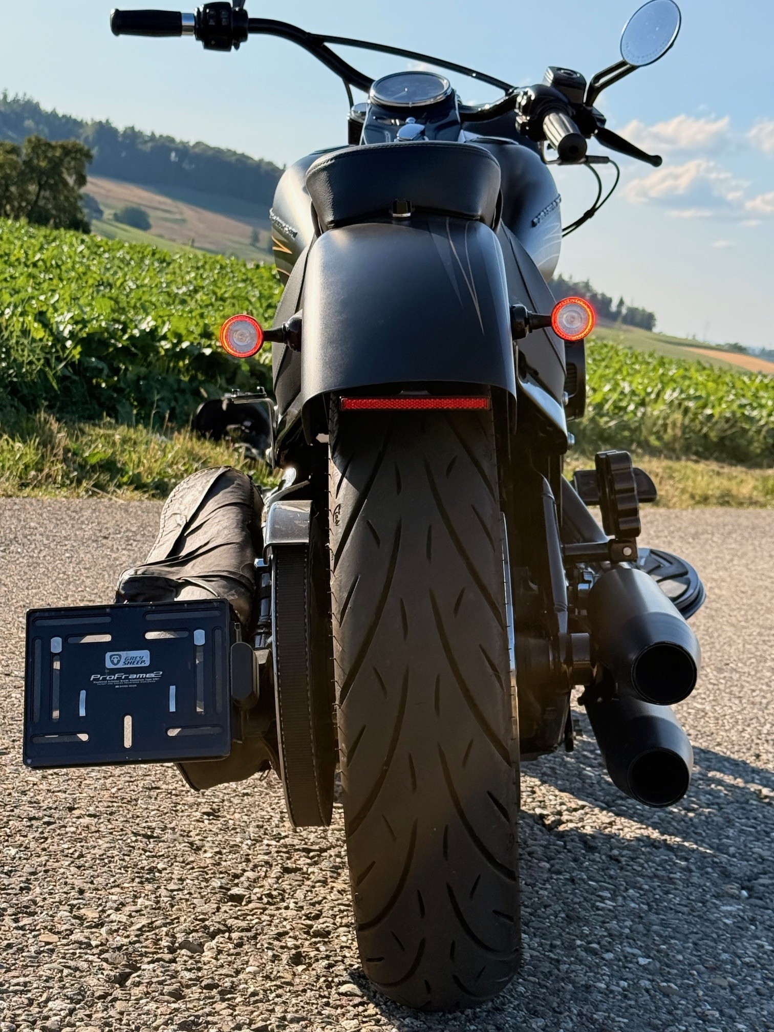 HARLEY-DAVIDSON FLS Softail Slim ABS-image-10