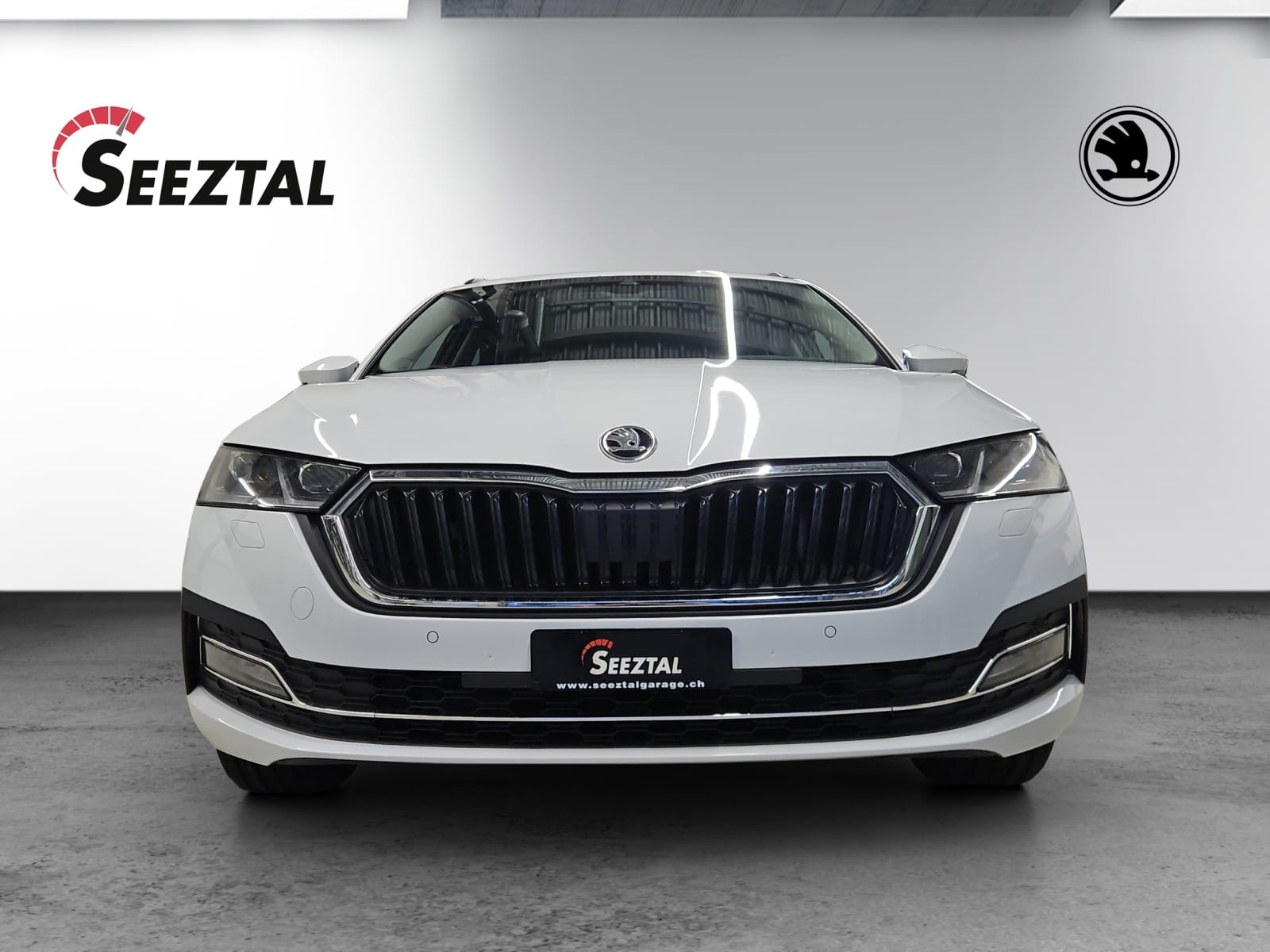 SKODA Skoda Octavia Style 200PS TDI 4x4-showroom-element-1