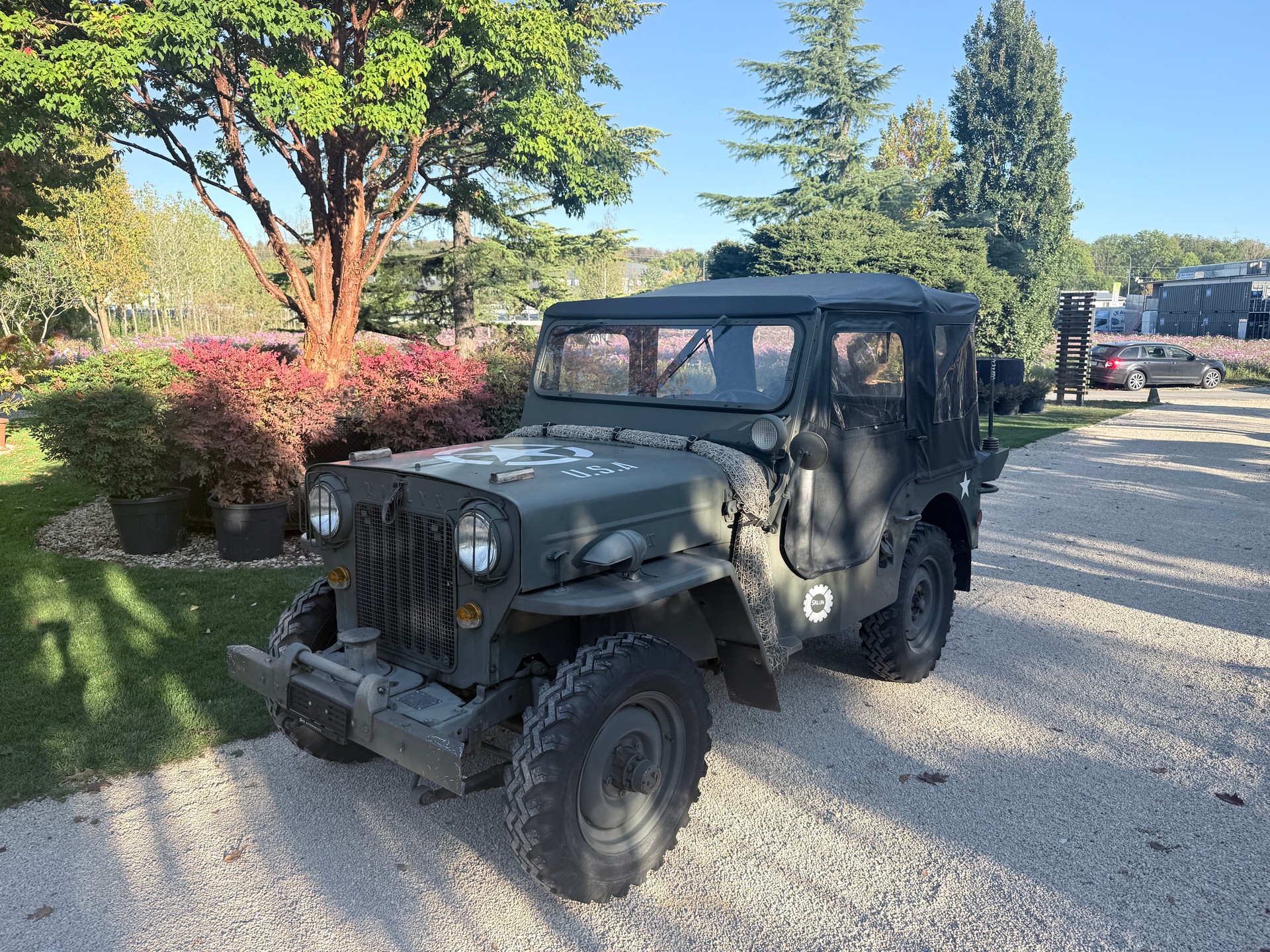 WILLYS CJ 3 B universal J-image-20
