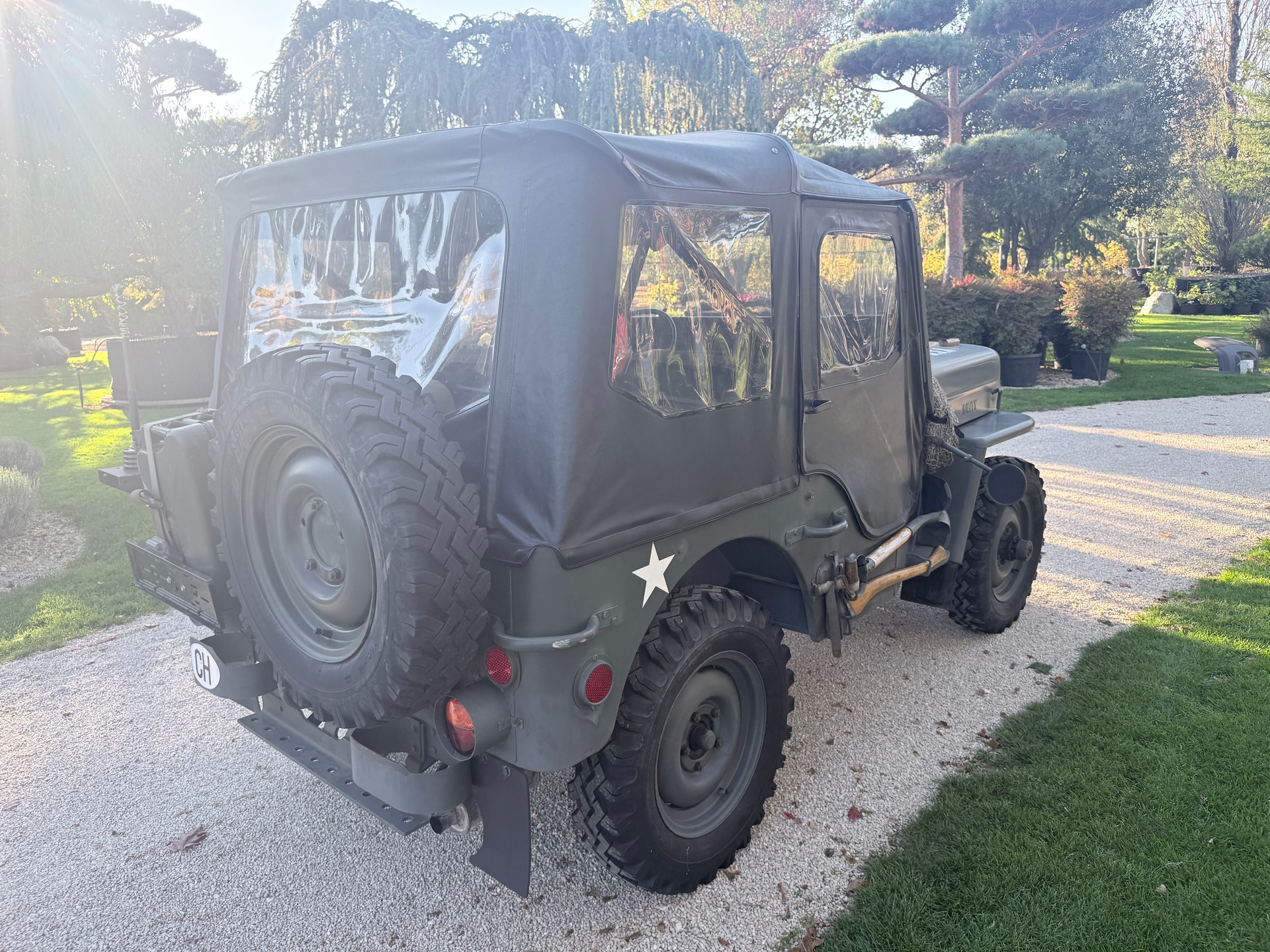 WILLYS CJ 3 B universal J-image-17