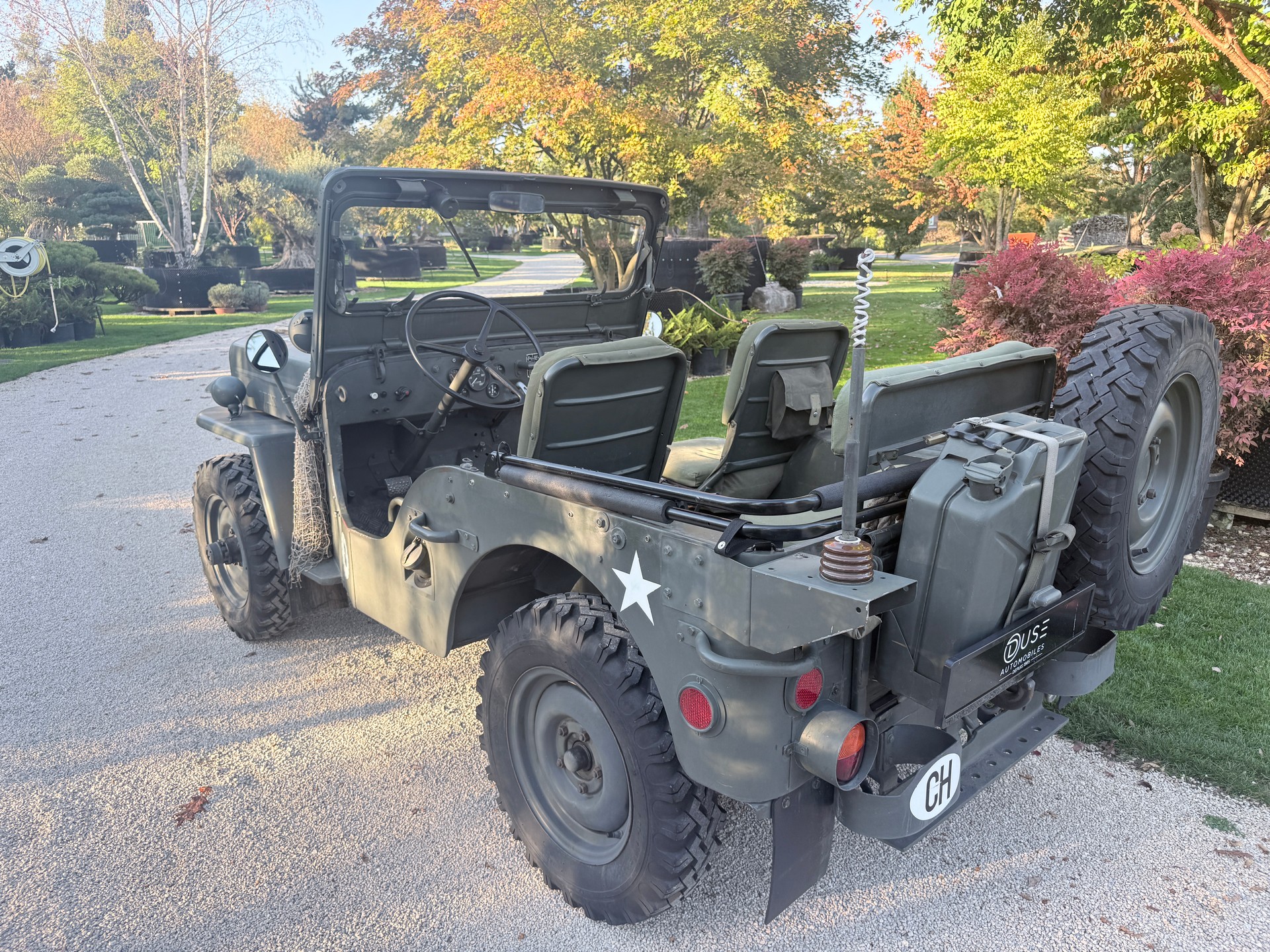 WILLYS CJ 3 B universal J-showroom-element-3