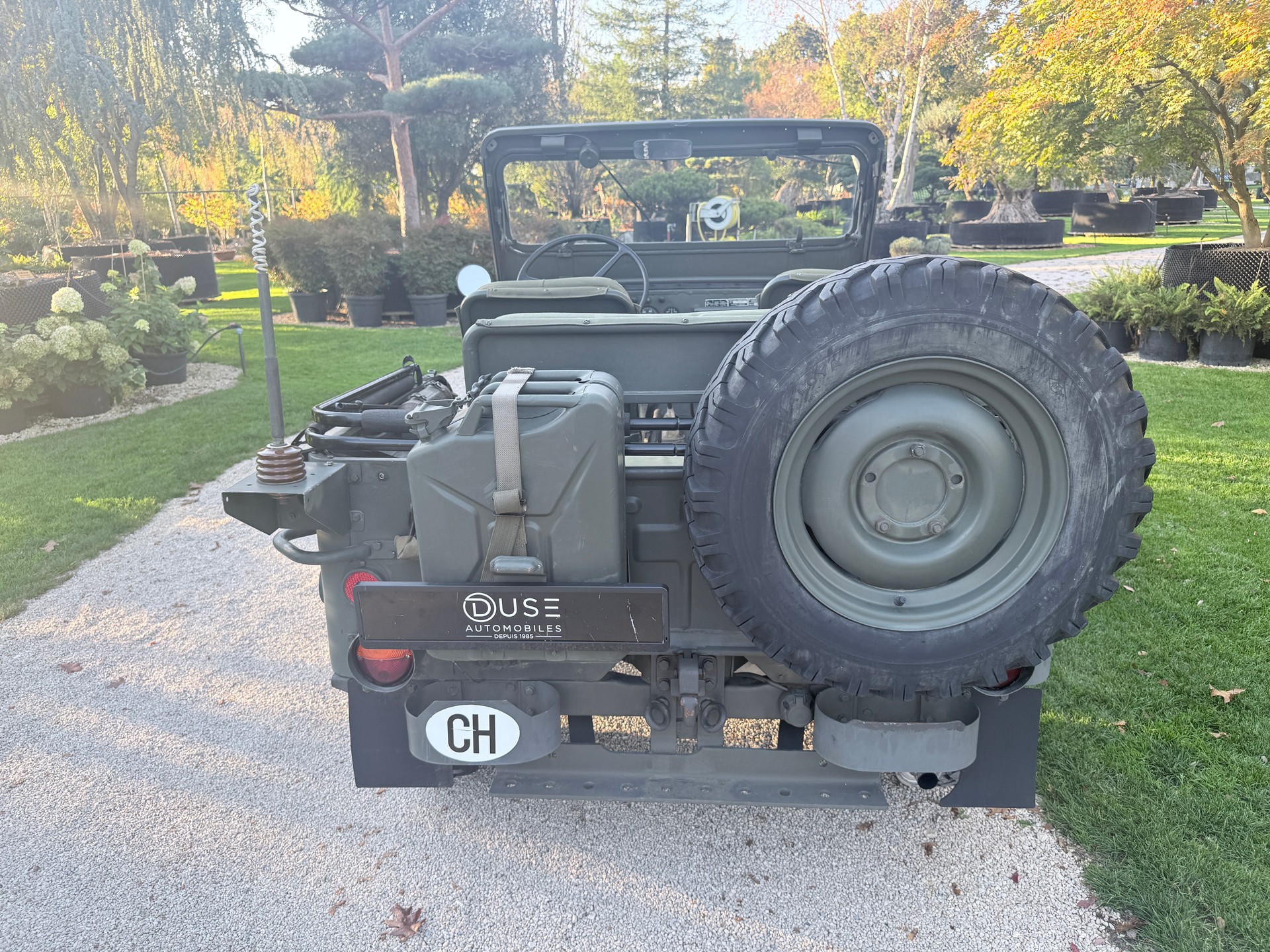 WILLYS CJ 3 B universal J-image-4