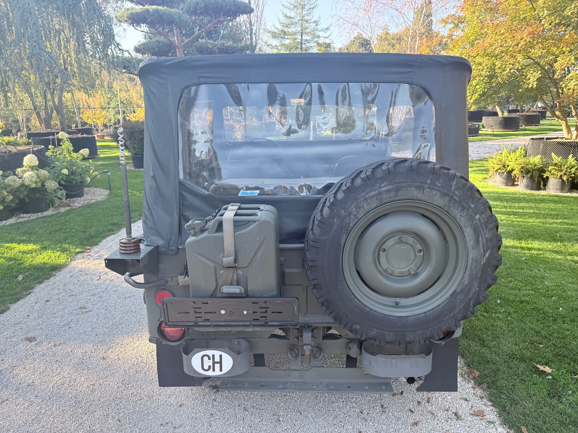 WILLYS CJ 3 B universal J-image-18