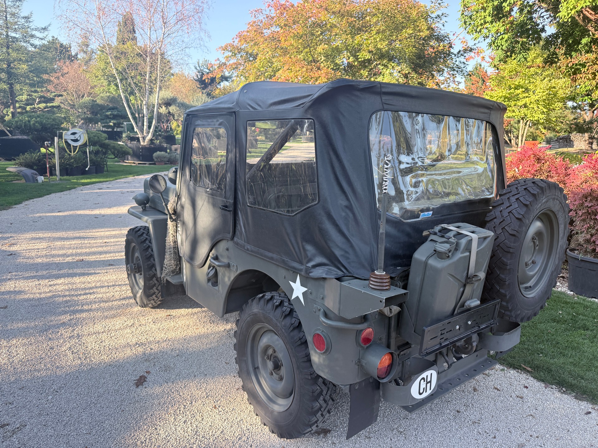 WILLYS CJ 3 B universal J-image-19