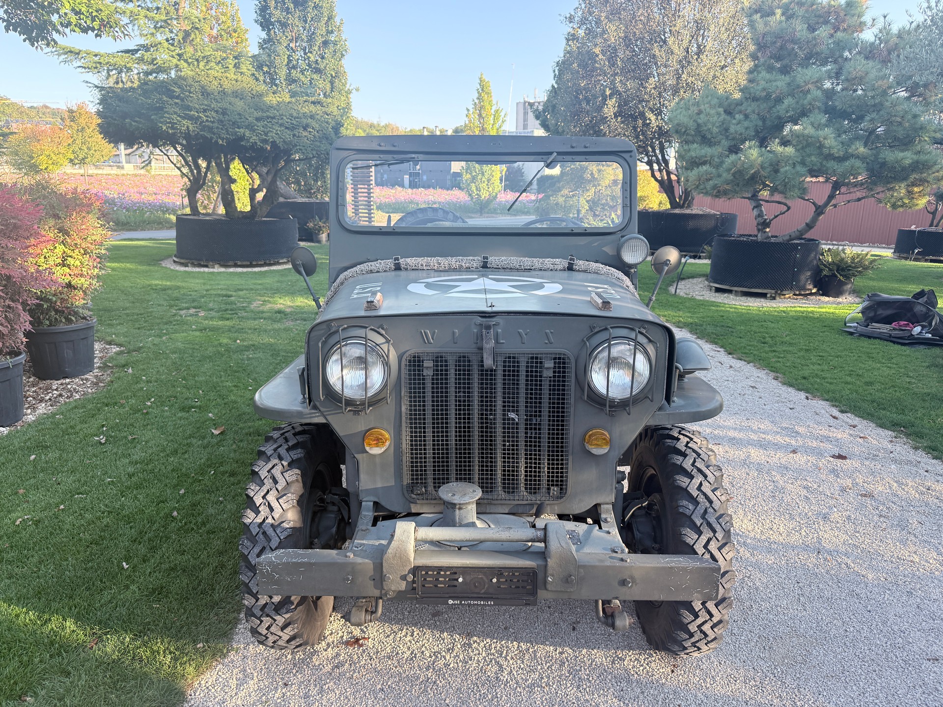 WILLYS CJ 3 B universal J-showroom-element-2
