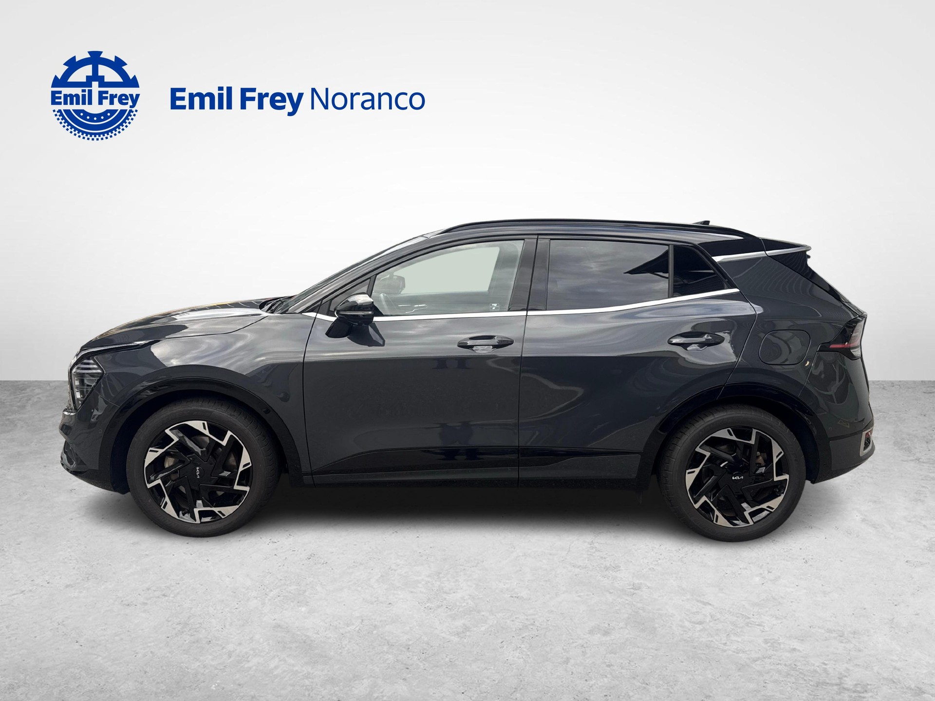 KIA Sportage 1.6 T-GDi PHEV GT-Line - Ruote invernali incluse-image-2