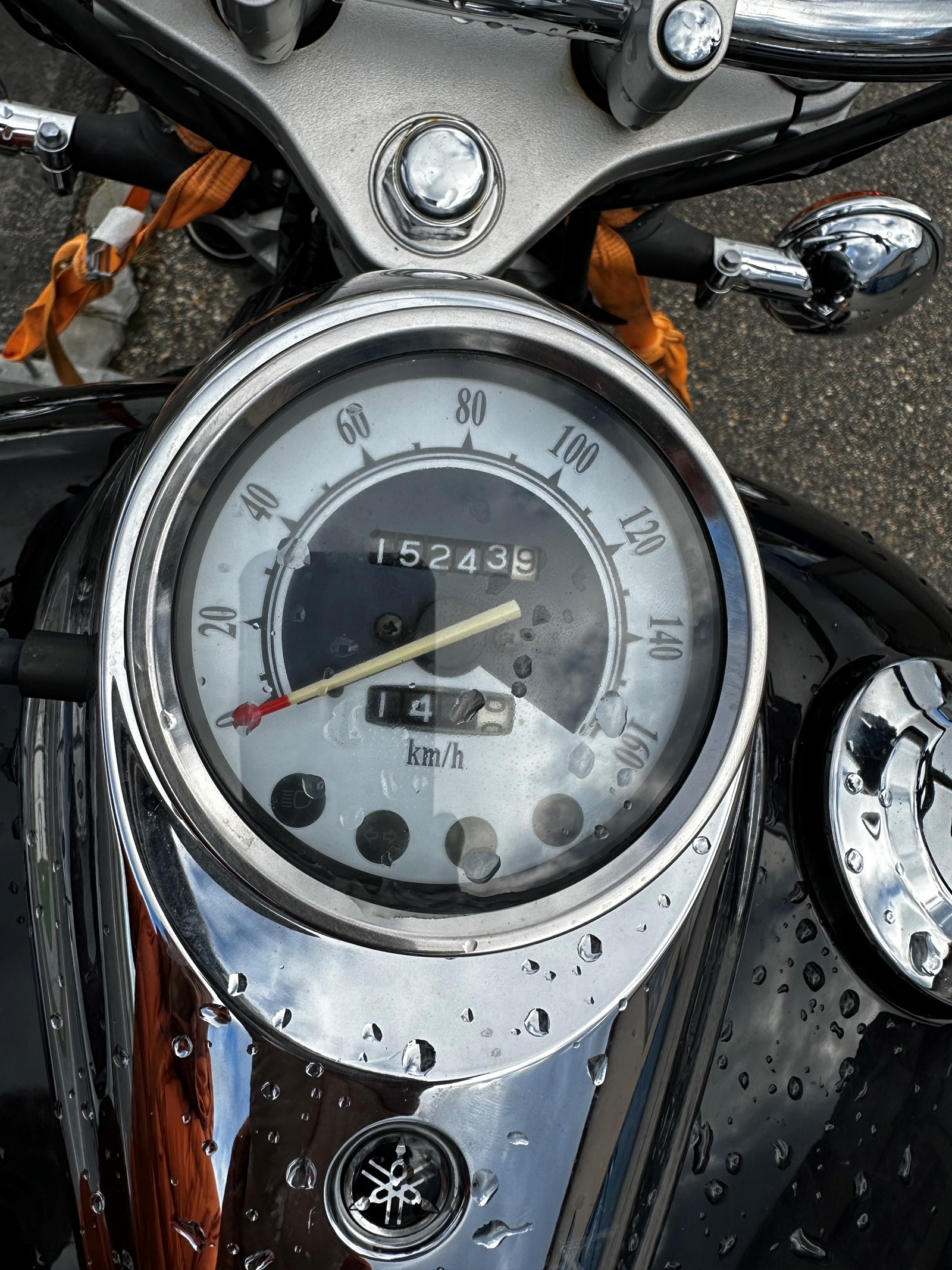 YAMAHA XV 250 Virago-image-5
