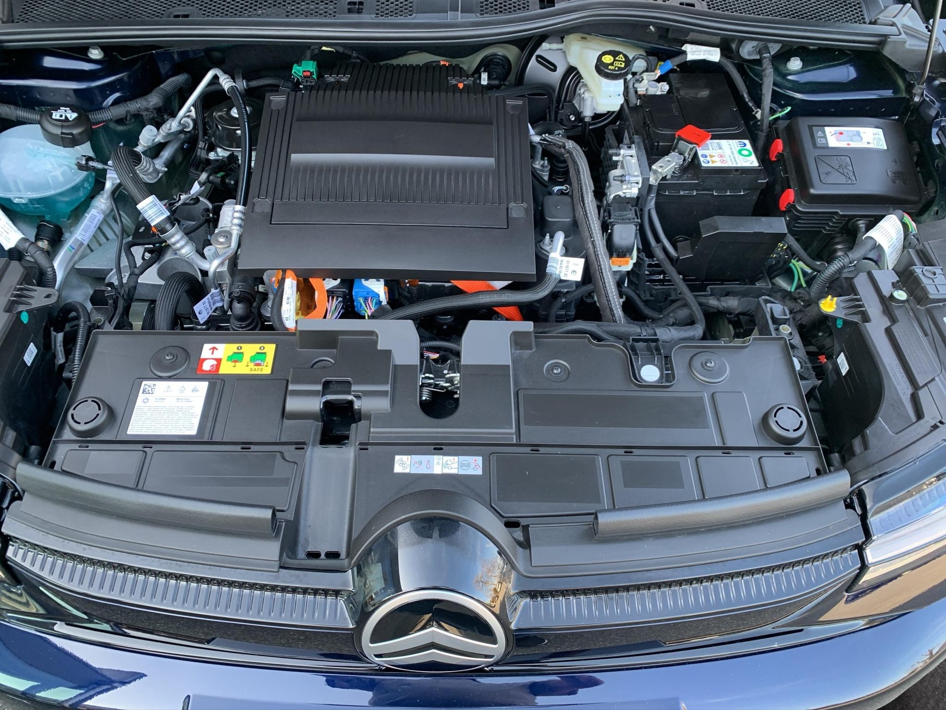 CITROEN e-C4 Plus-image-4