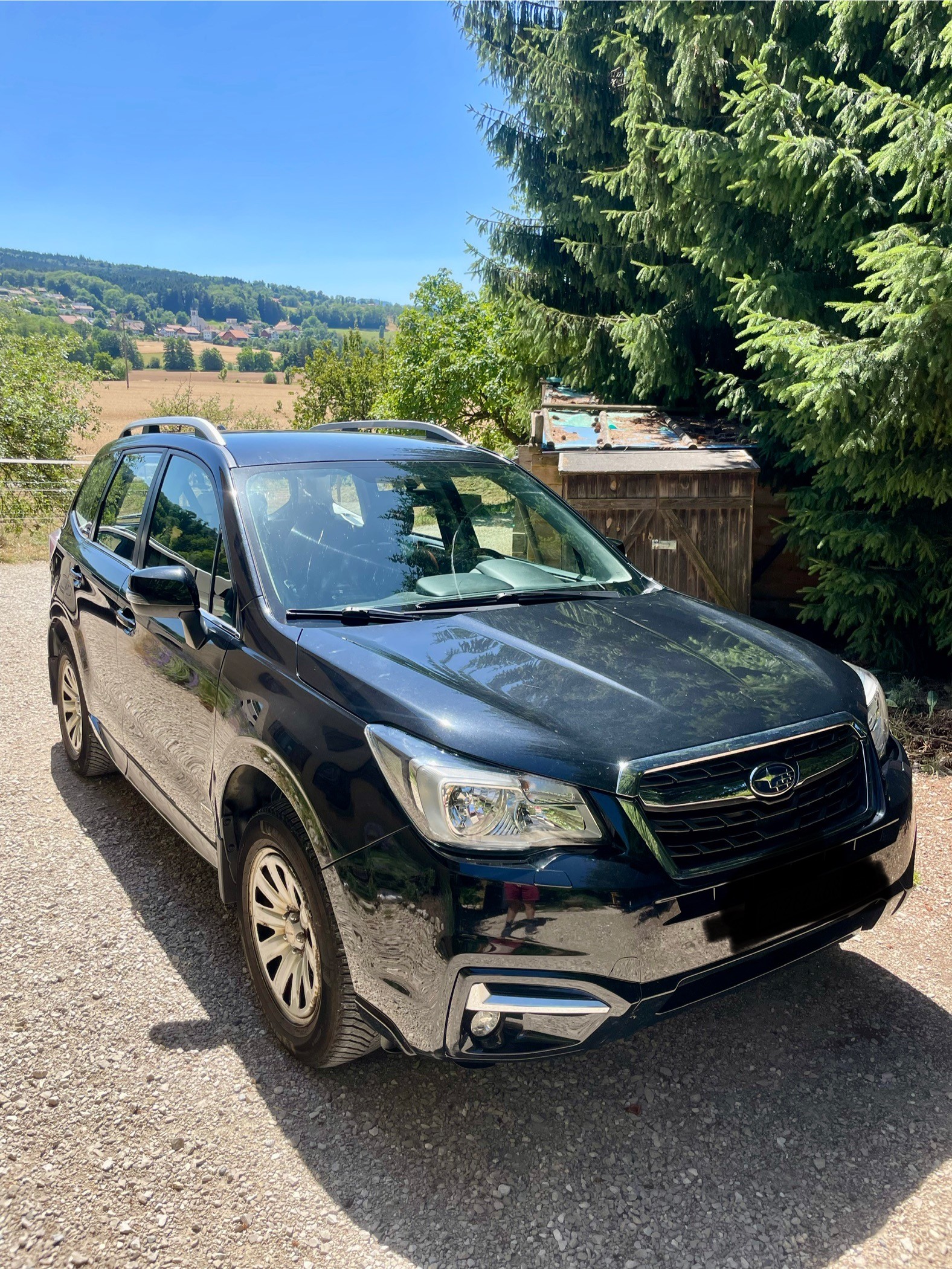 SUBARU 2.0 Swiss-image-5