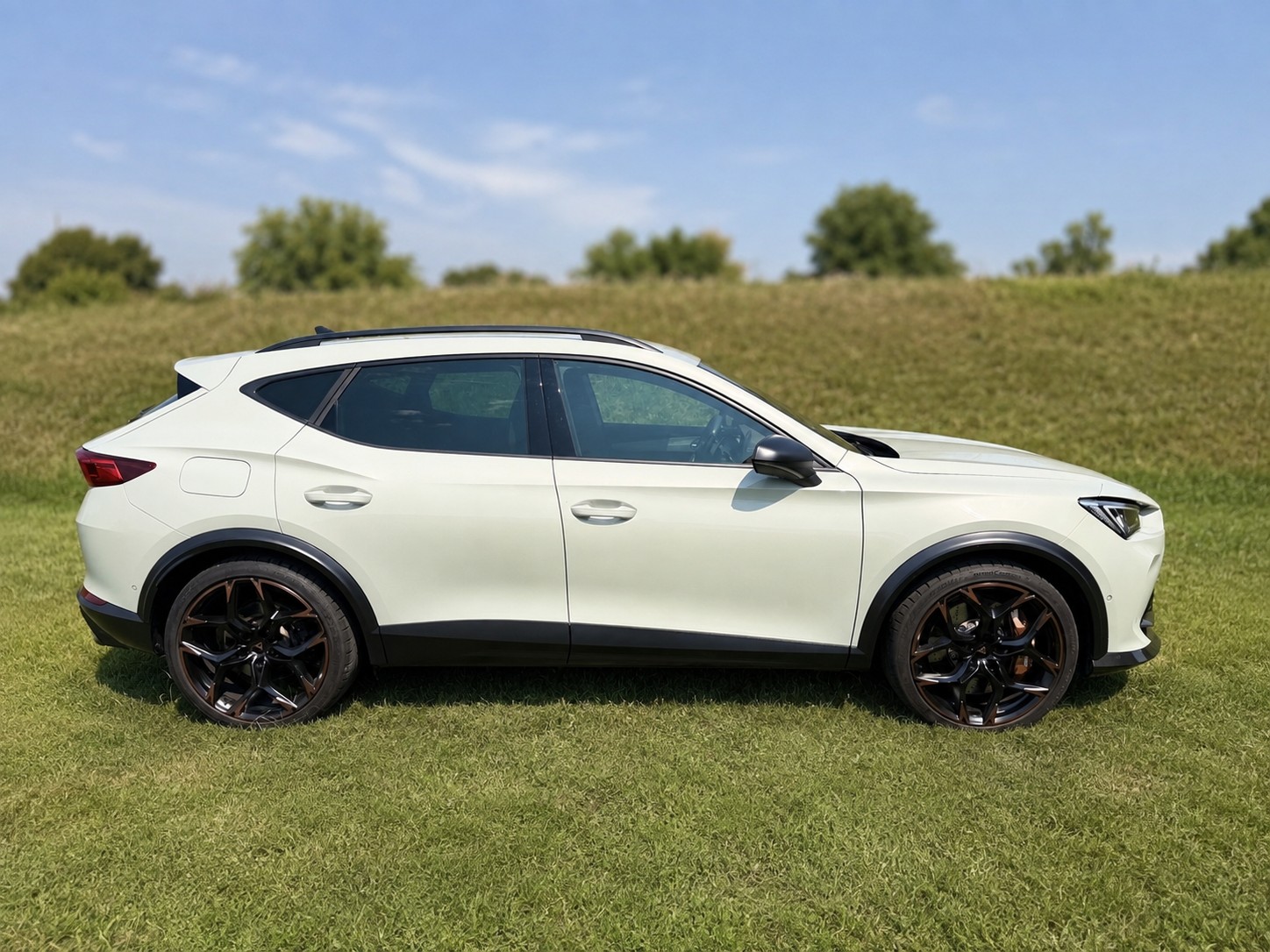 CUPRA 2.5 TSI VZ5 Taiga Grey 4Drive DSG-image-18