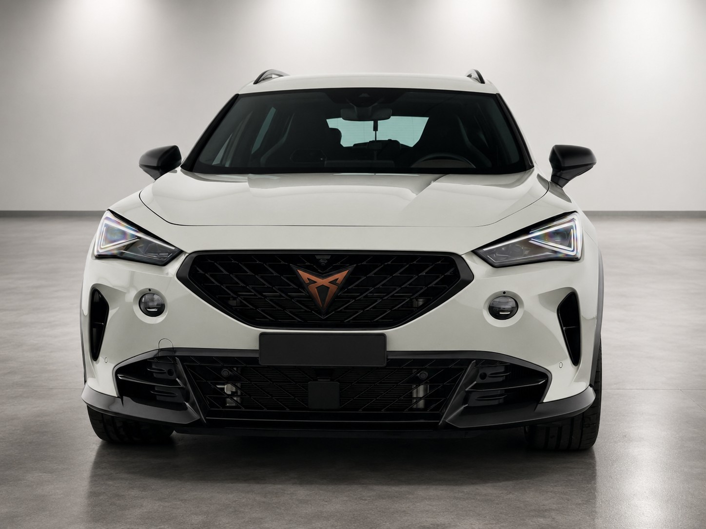 CUPRA 2.5 TSI VZ5 Taiga Grey 4Drive DSG-image-0
