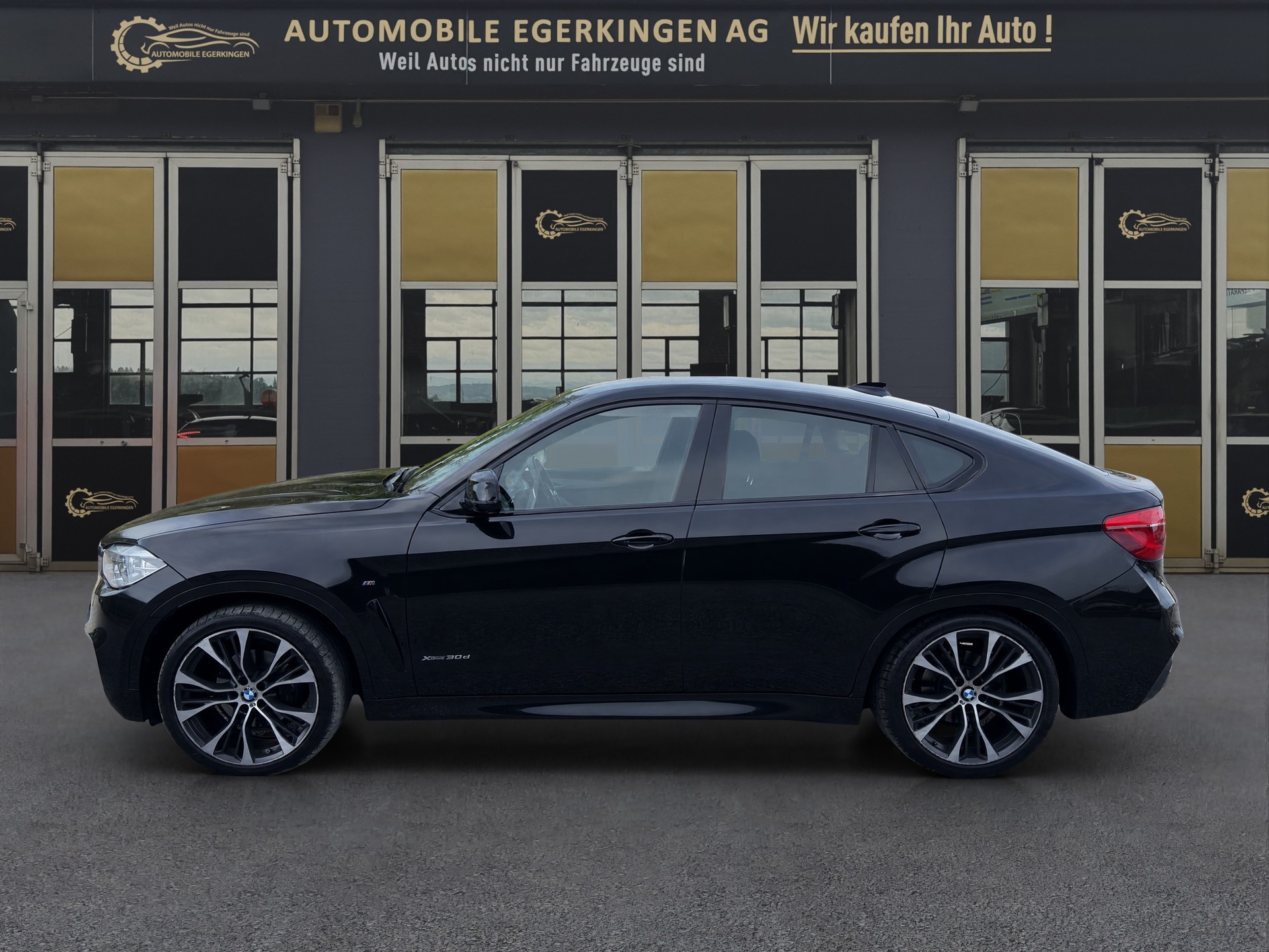 BMW X6 xDrive 30d M Sport Steptronic-image-7