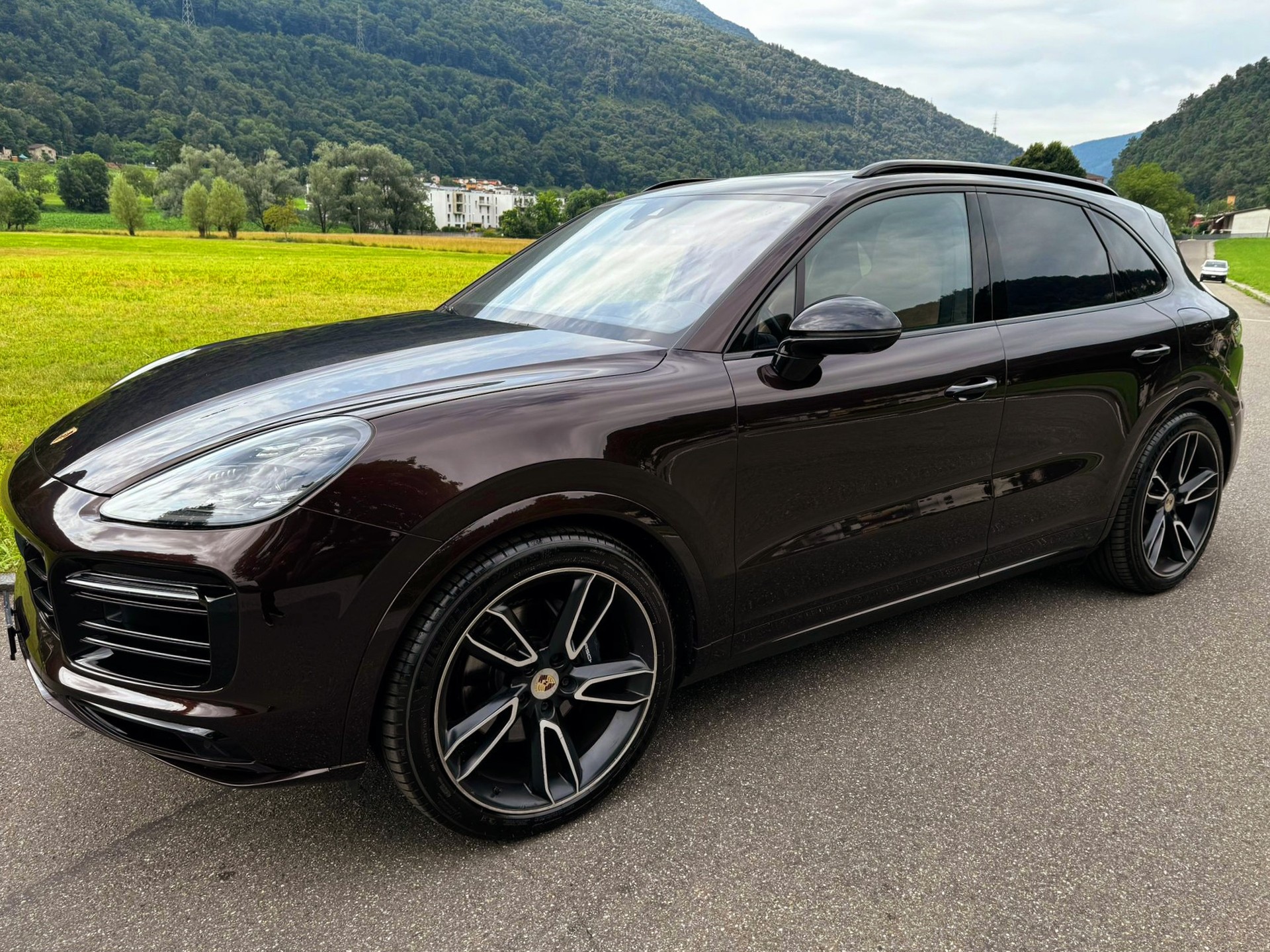 PORSCHE Cayenne E-Hybrid-image-3