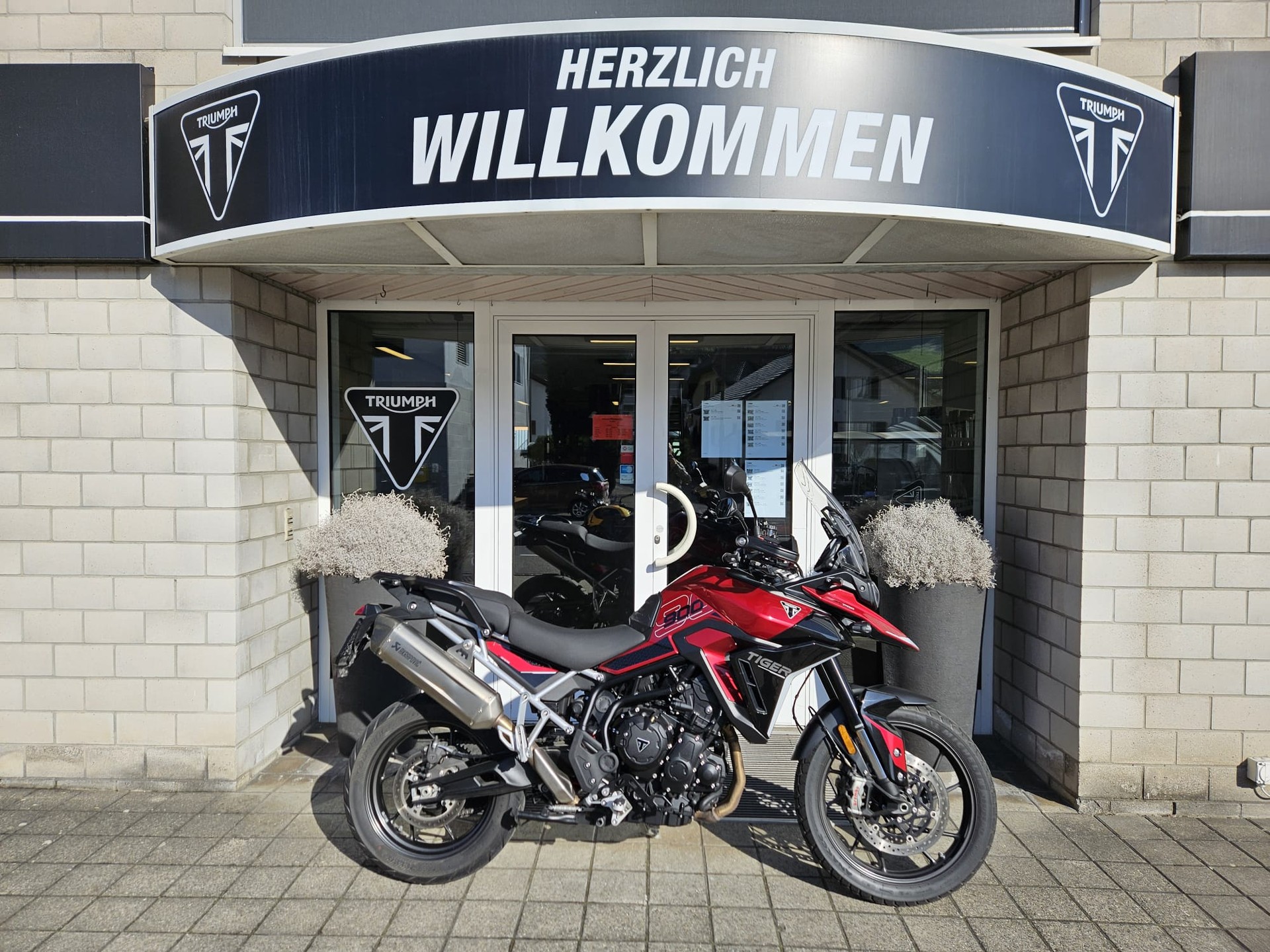 TRIUMPH Tiger 900 GT Pro