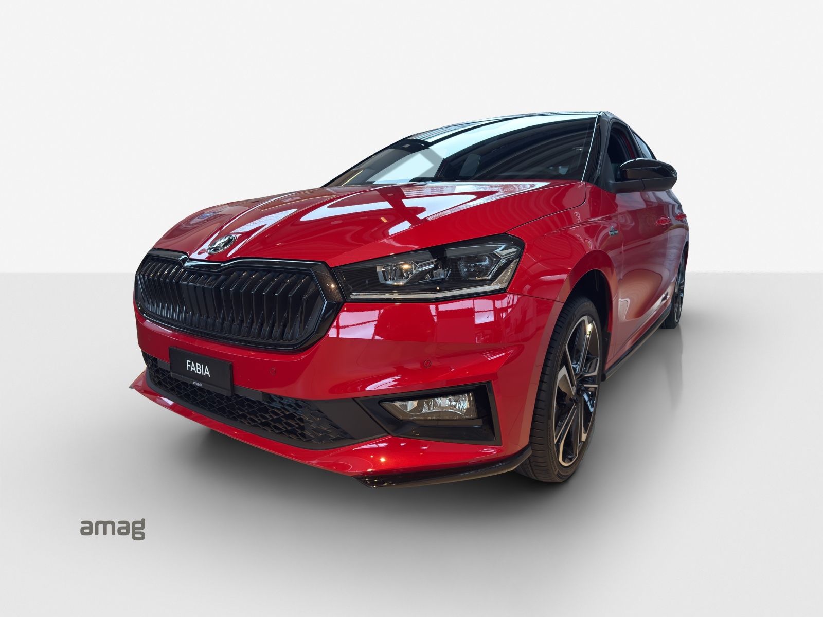 SKODA Fabia 1.0 TSI Monte Carlo DSG