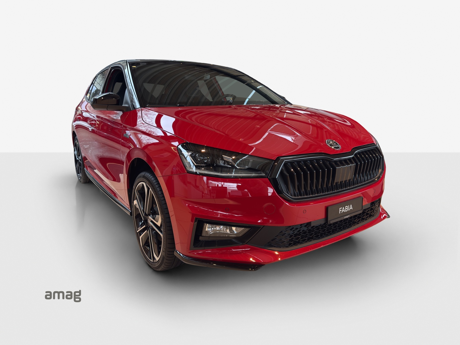 SKODA Fabia 1.0 TSI Monte Carlo DSG-image-5