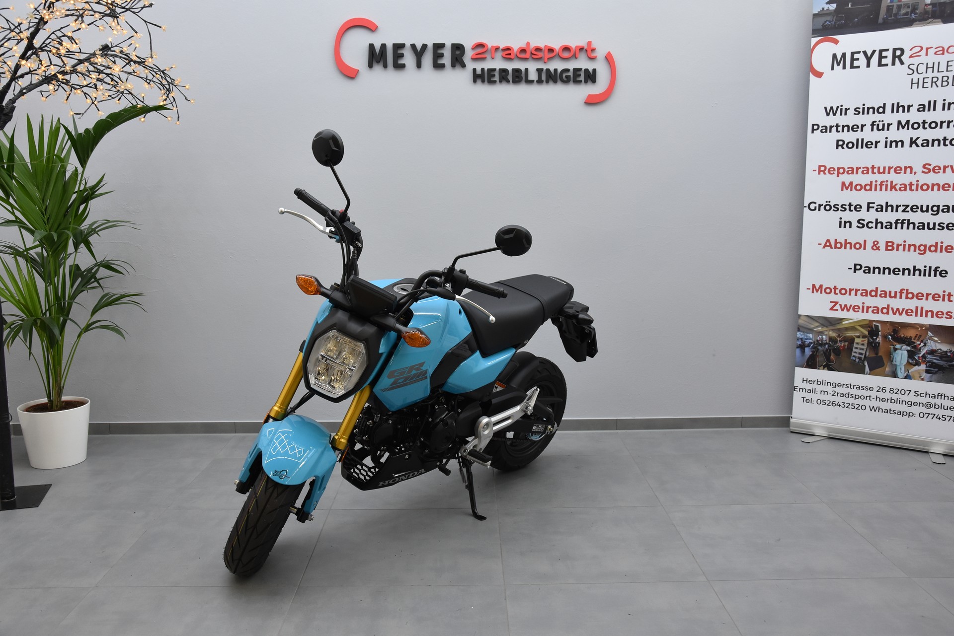 HONDA MSX125-showroom-element-3