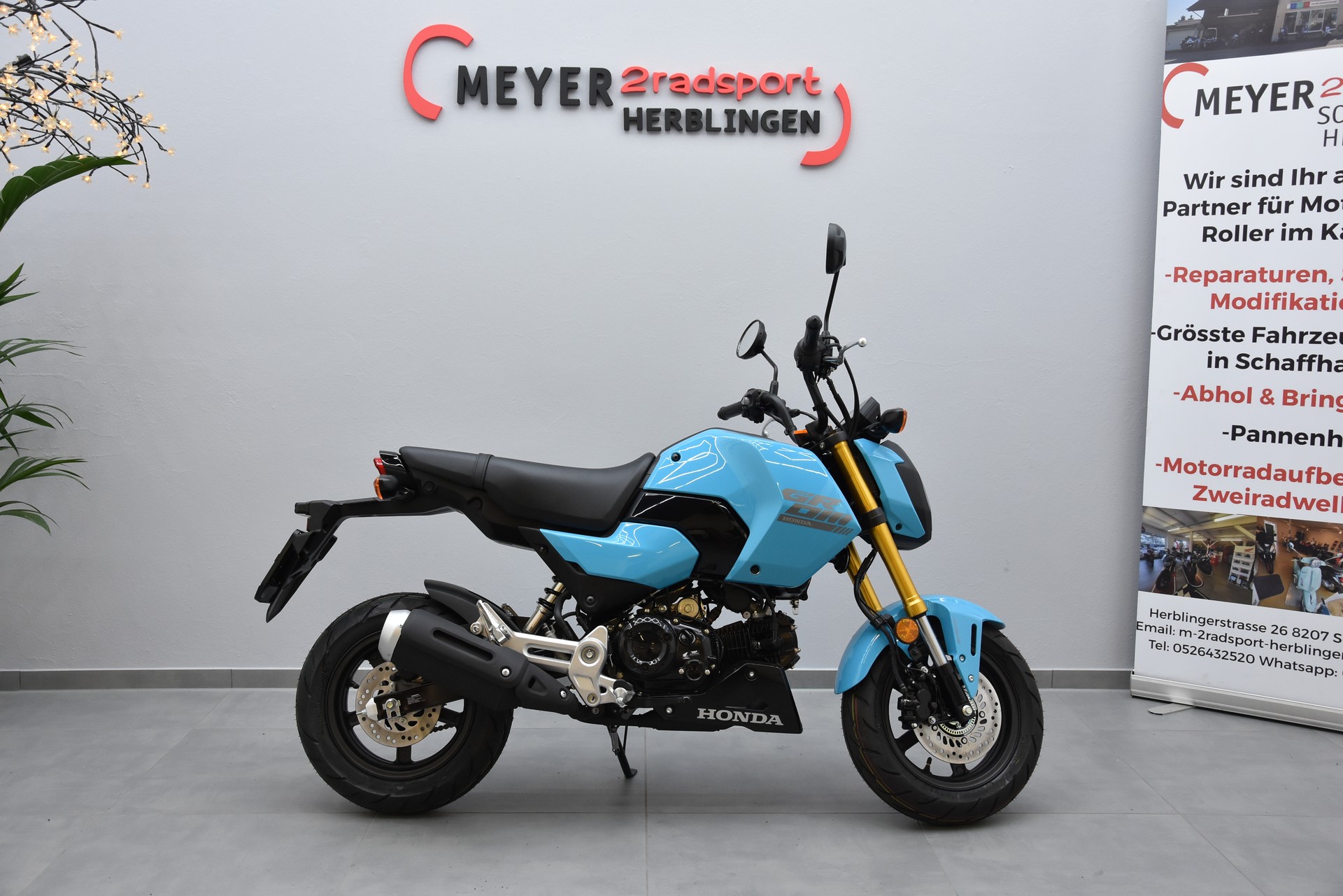HONDA MSX125-showroom-element-1