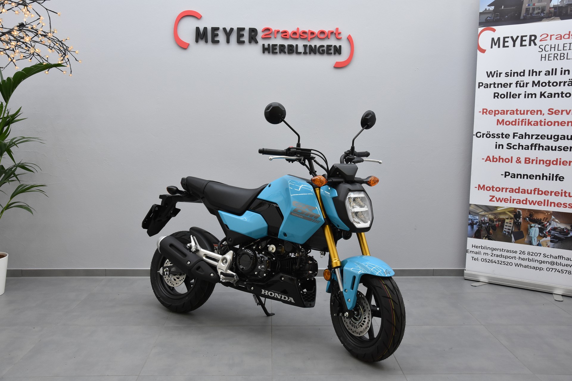 HONDA MSX125