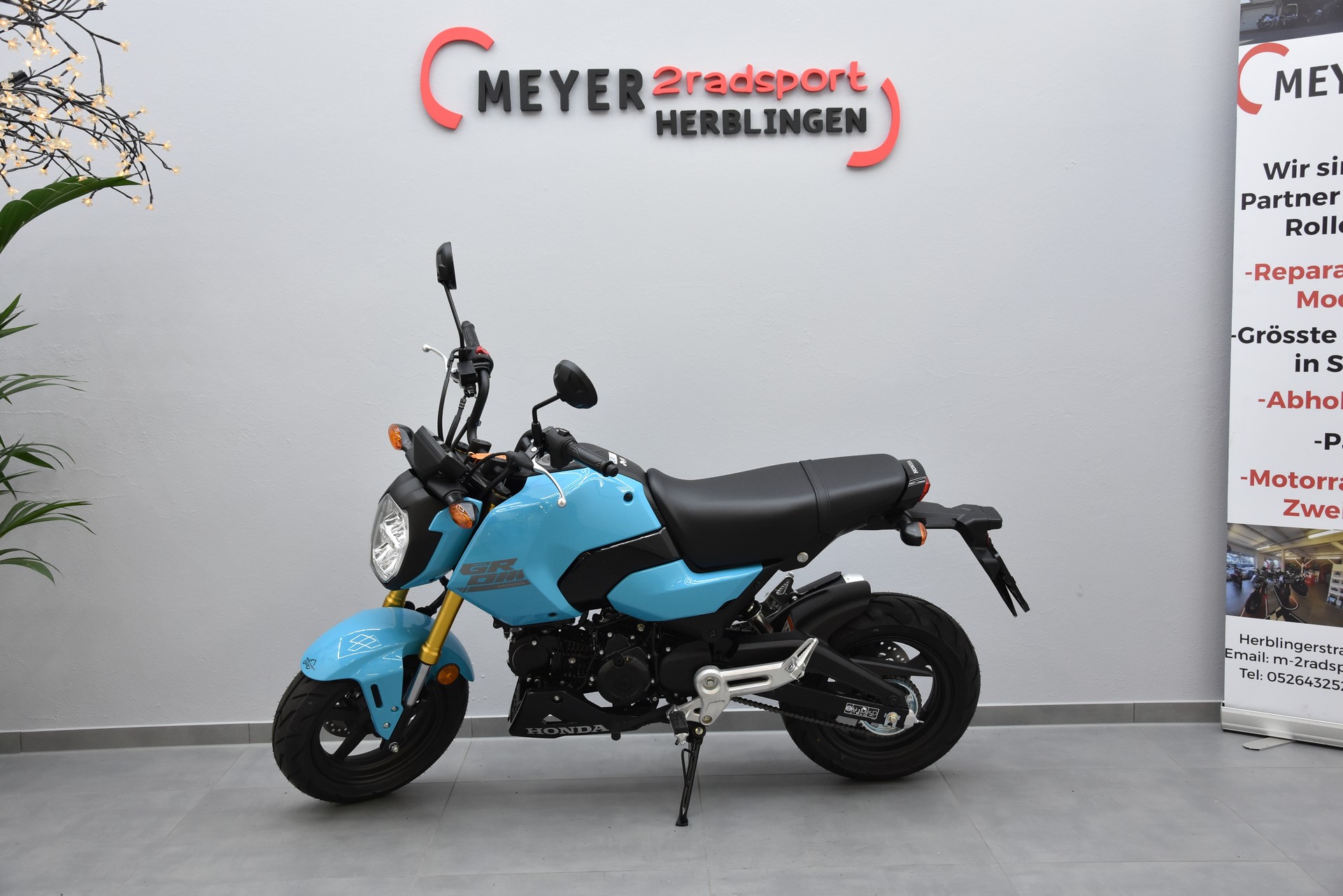 HONDA MSX125-image-5