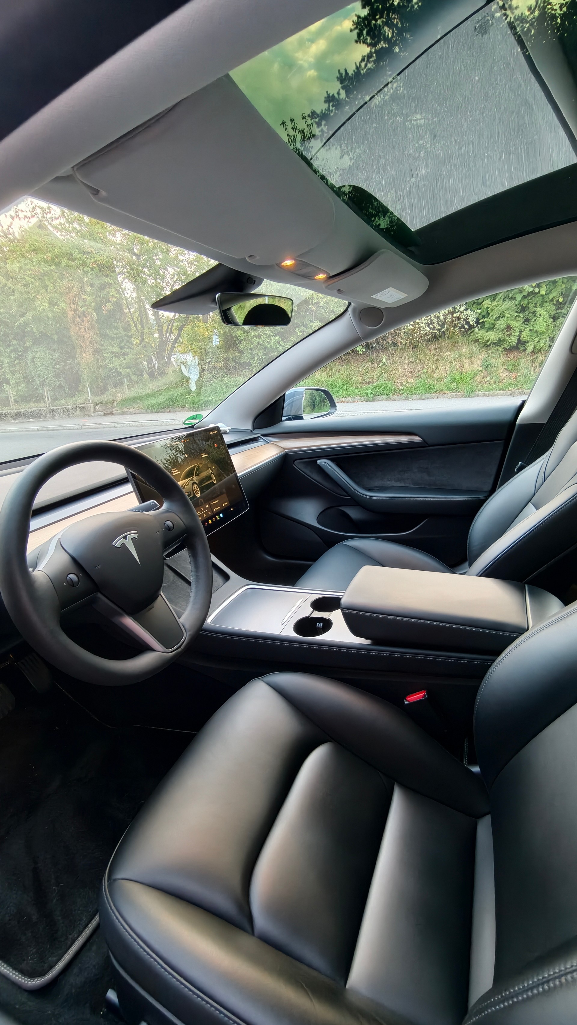 TESLA Dual Motor (Long Range AWD)-image-2