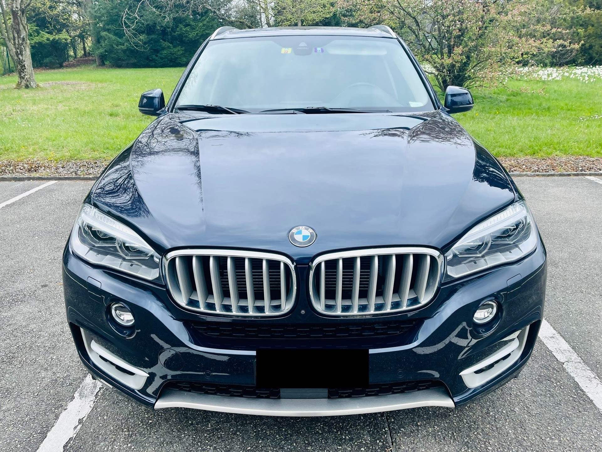 BMW X5 xDrive 40e iPerformance Steptronic-image-1