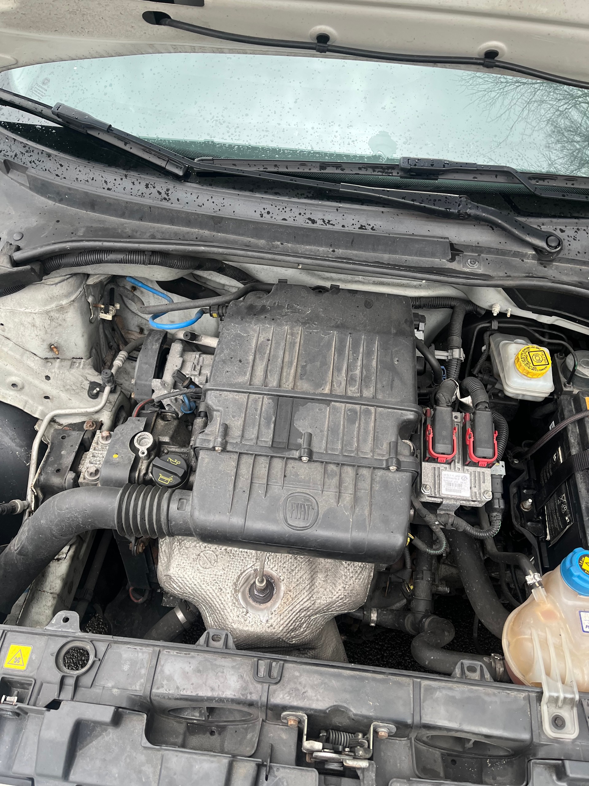 FIAT Punto 1.2 Pop-image-11