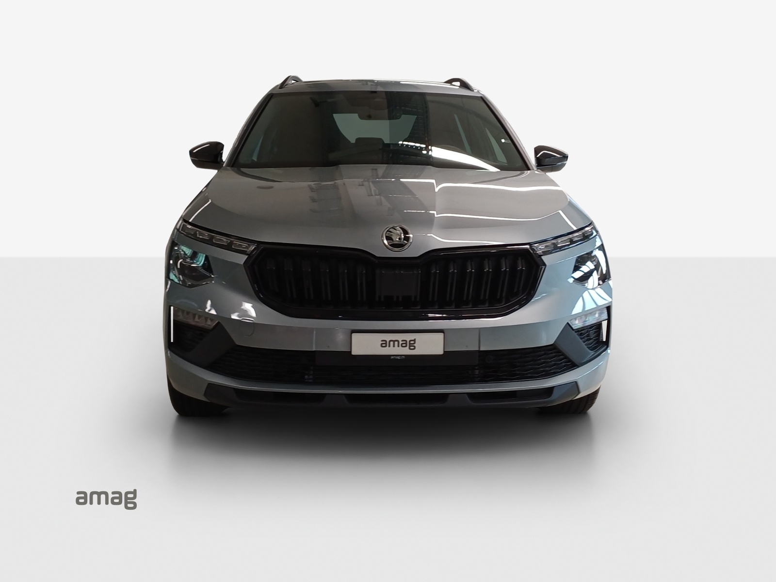 SKODA Kamiq 1.5 TSI Dynamic DSG-image-6