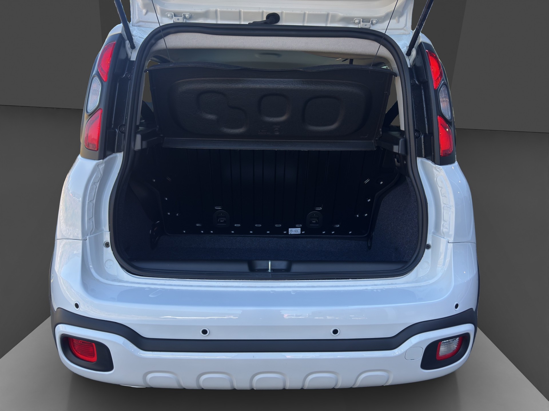 FIAT Pandina 1.0 MHEV Cross-image-15