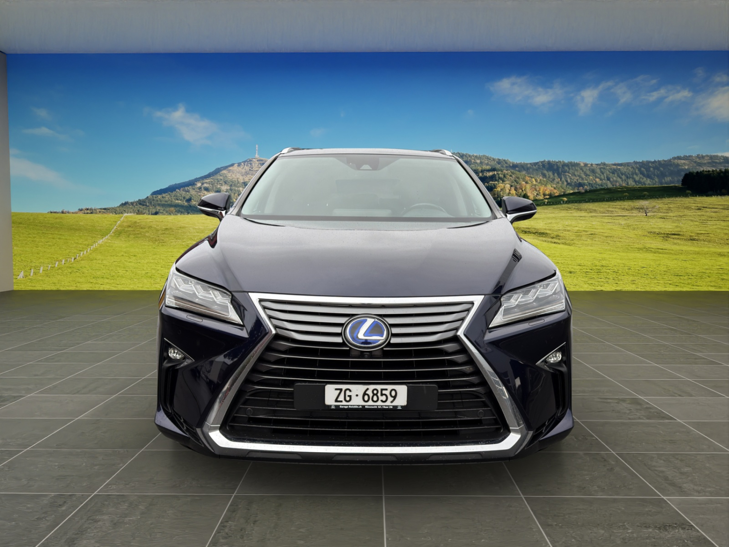 LEXUS RX 450h L Excellence-image-7