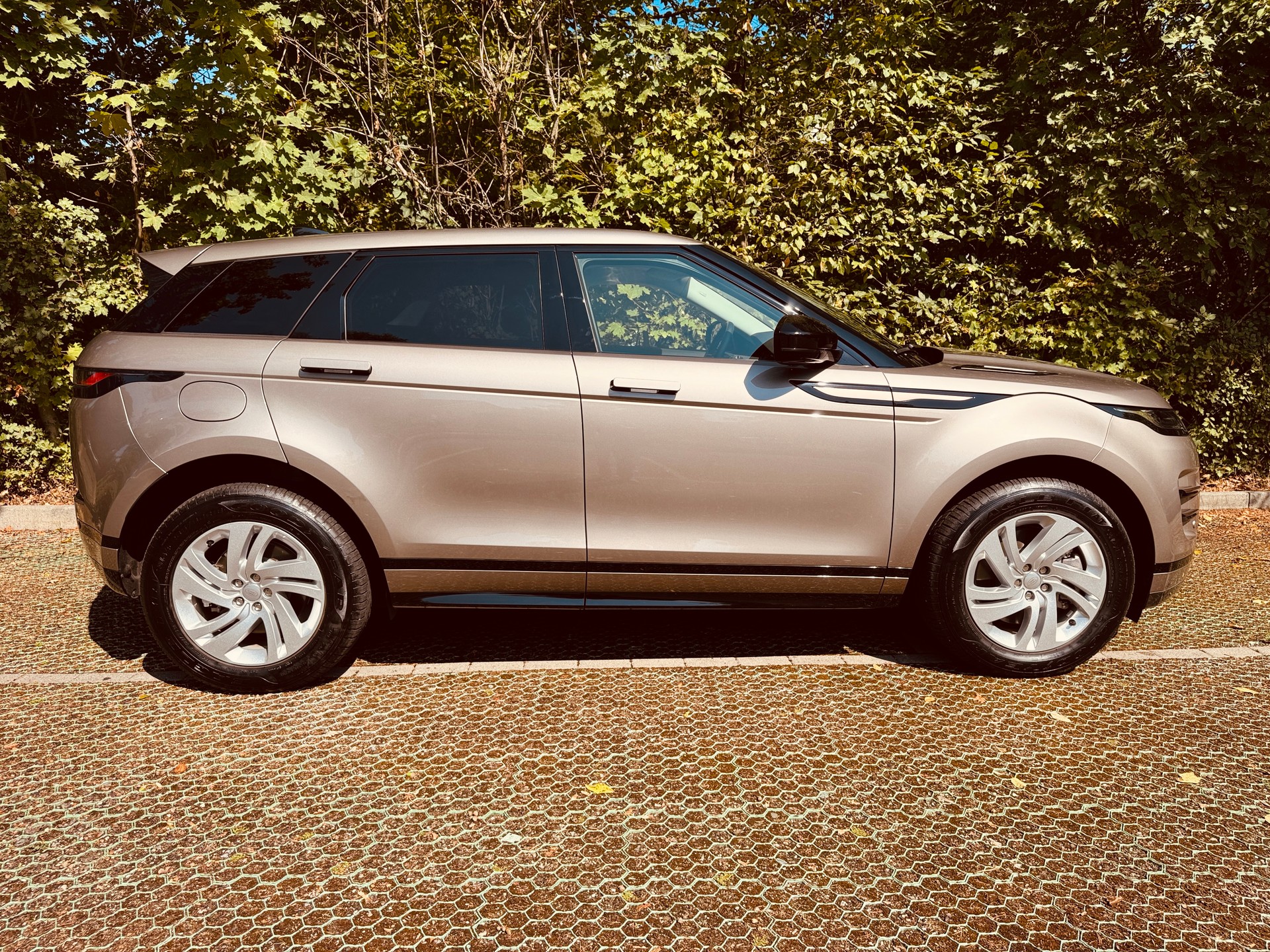 LAND ROVER Range Rover Evoque P 300e S AT8-image-5