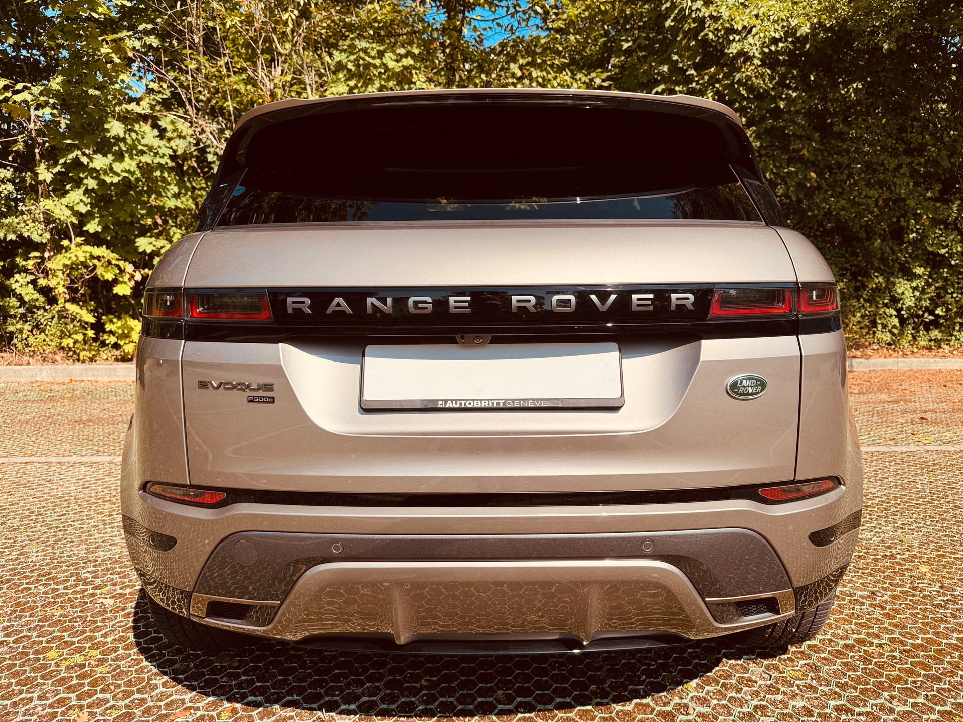 LAND ROVER Range Rover Evoque P 300e S AT8-image-10