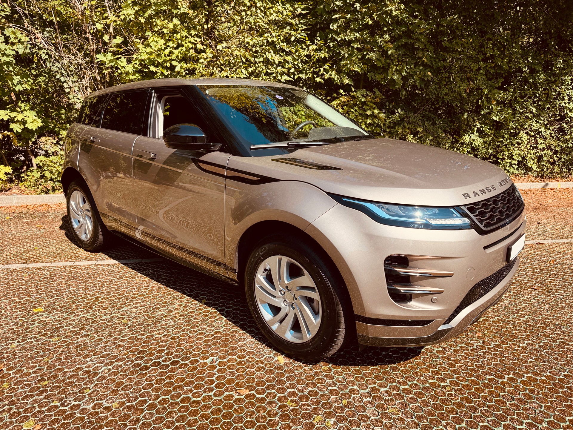 LAND ROVER Range Rover Evoque P 300e S AT8-image-6