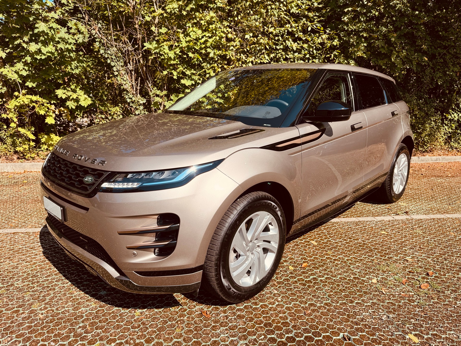 LAND ROVER Range Rover Evoque P 300e S AT8-image-0