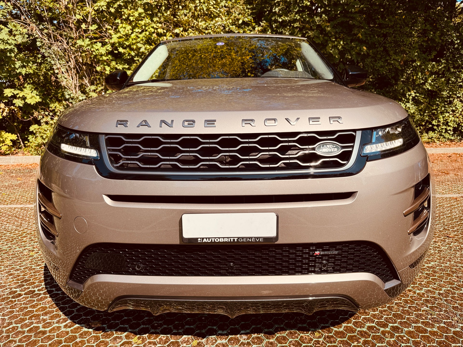 LAND ROVER Range Rover Evoque P 300e S AT8-image-9