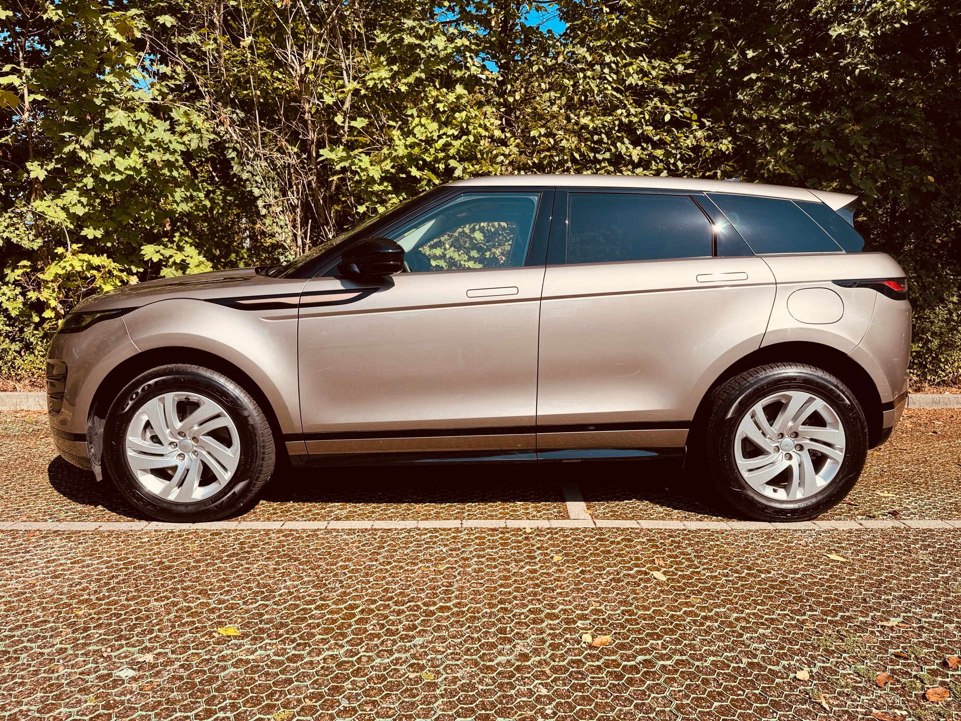 LAND ROVER Range Rover Evoque P 300e S AT8-image-7
