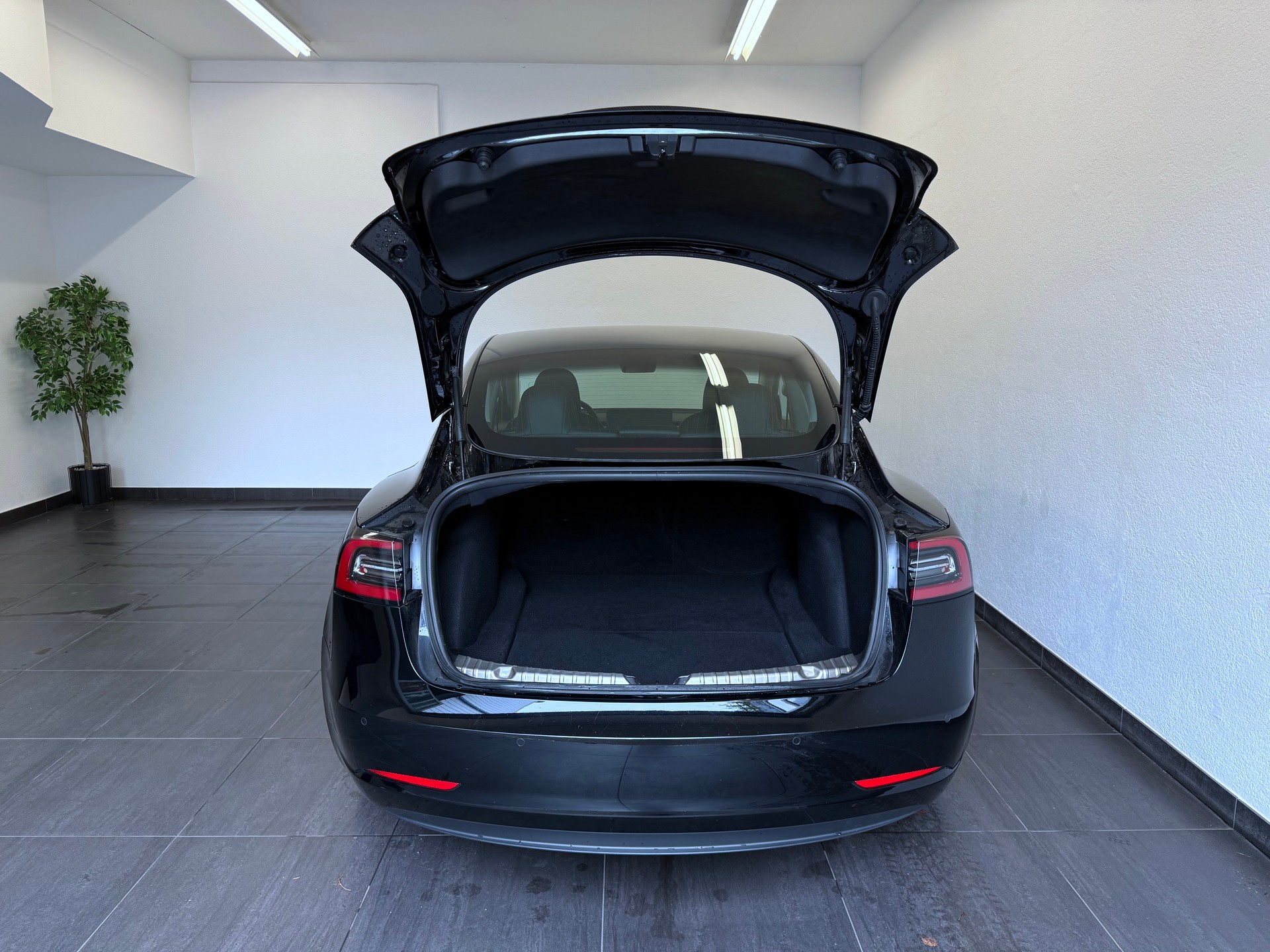 TESLA Model 3 Long Range Dual Motor AWD-image-7