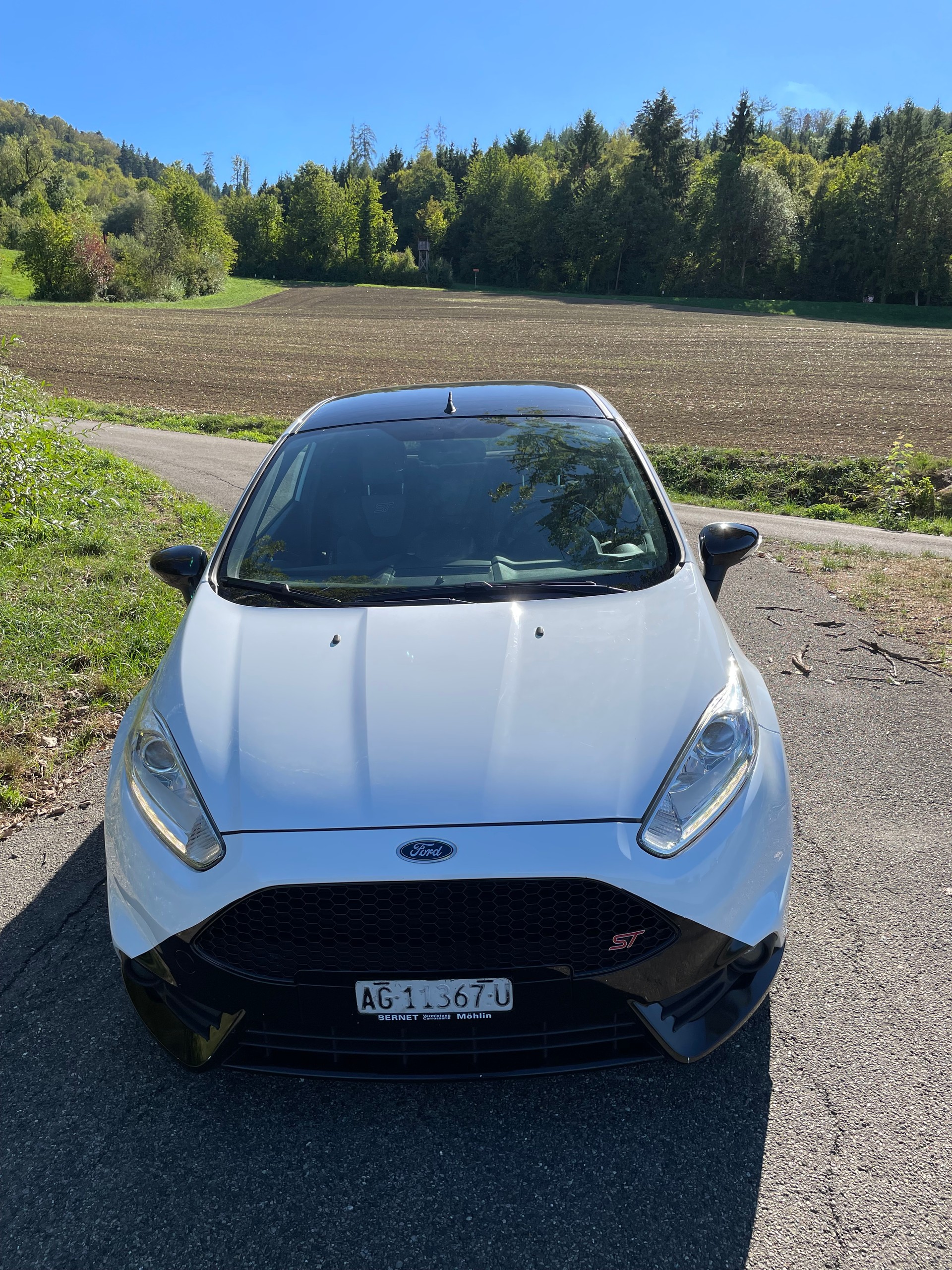 FORD Fiesta 1.6 SCTi ST-1-image-1