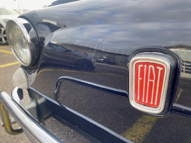 FIAT 500L-image-6