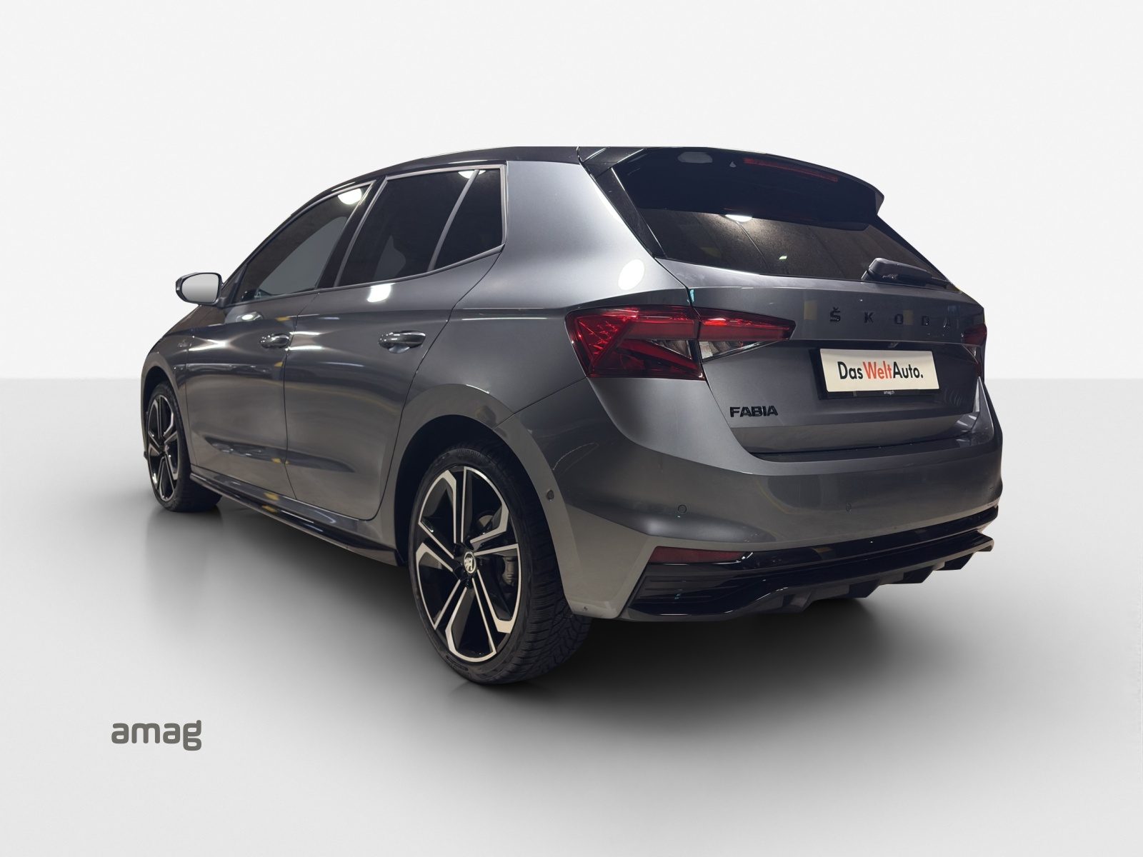 SKODA Fabia 1.5 TSI Monte Carlo DSG-image-2