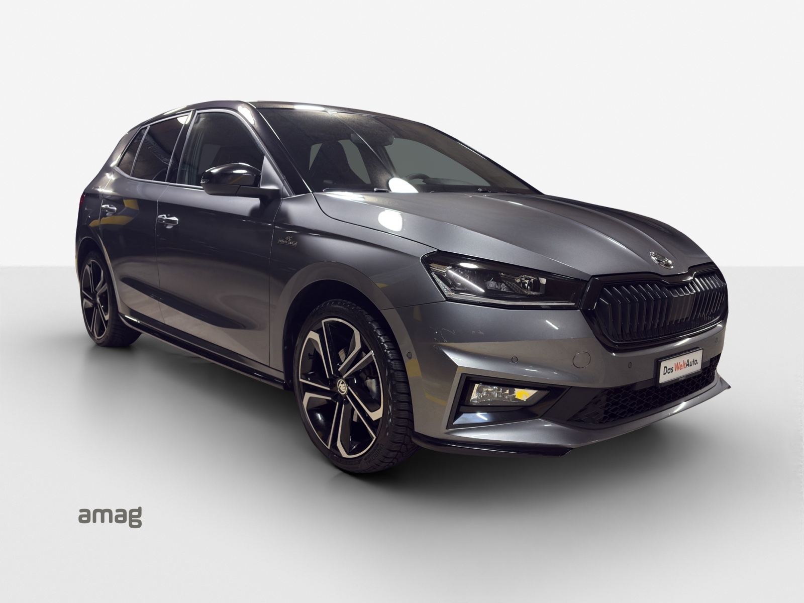 SKODA Fabia 1.5 TSI Monte Carlo DSG-image-5