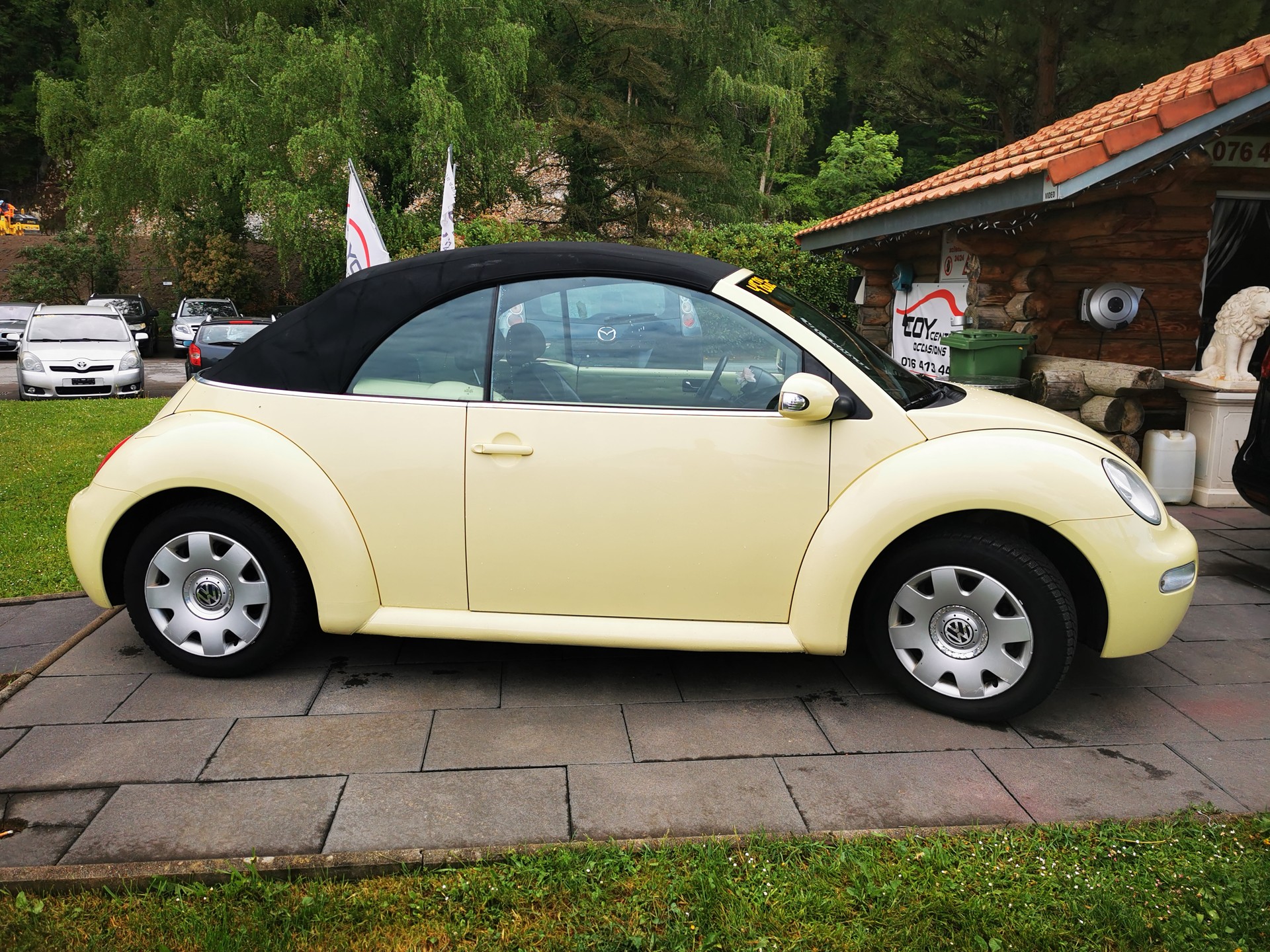 VW Beetle Cabrio 1.6-image-10