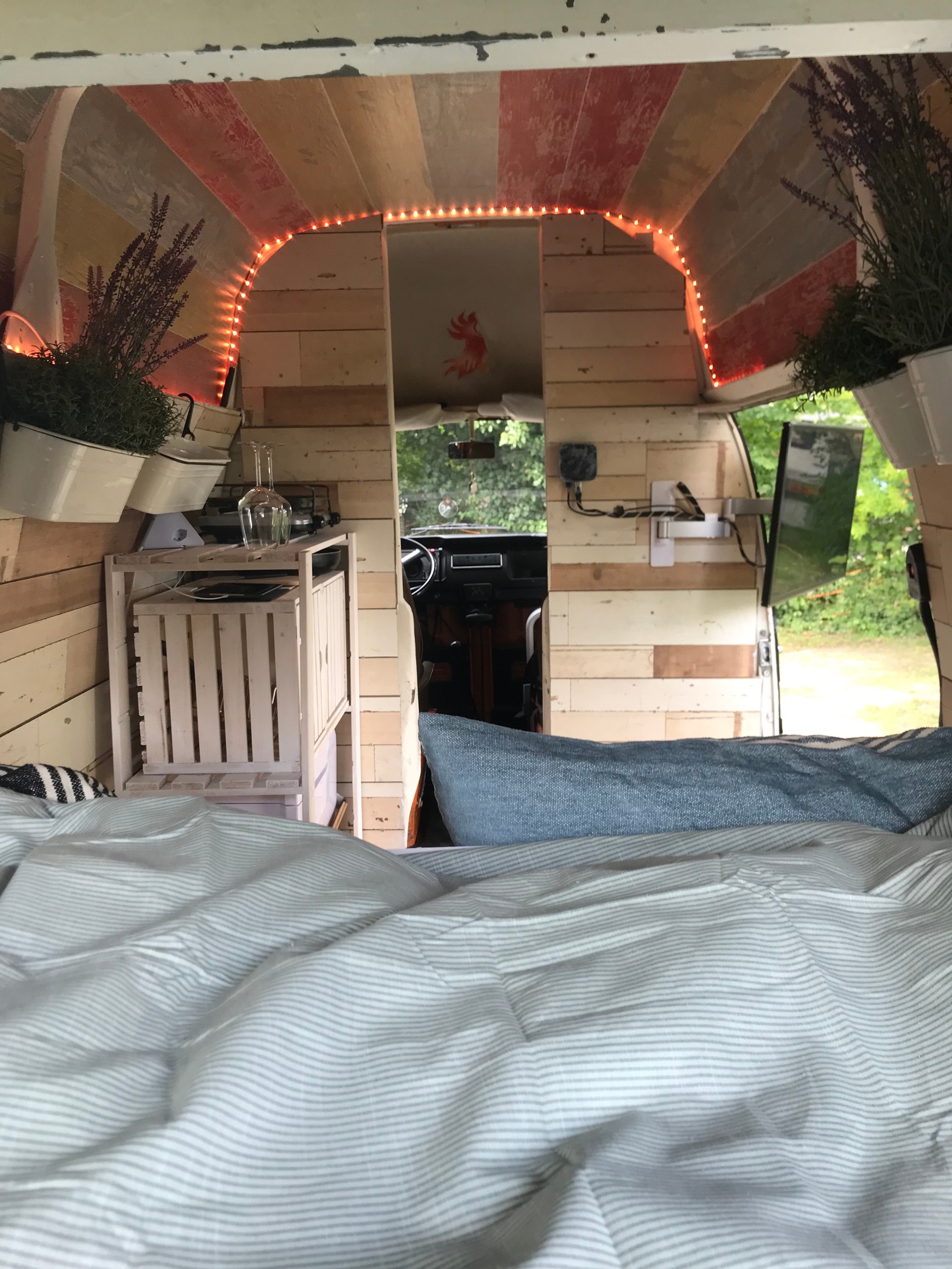 VW Transporter-image-14