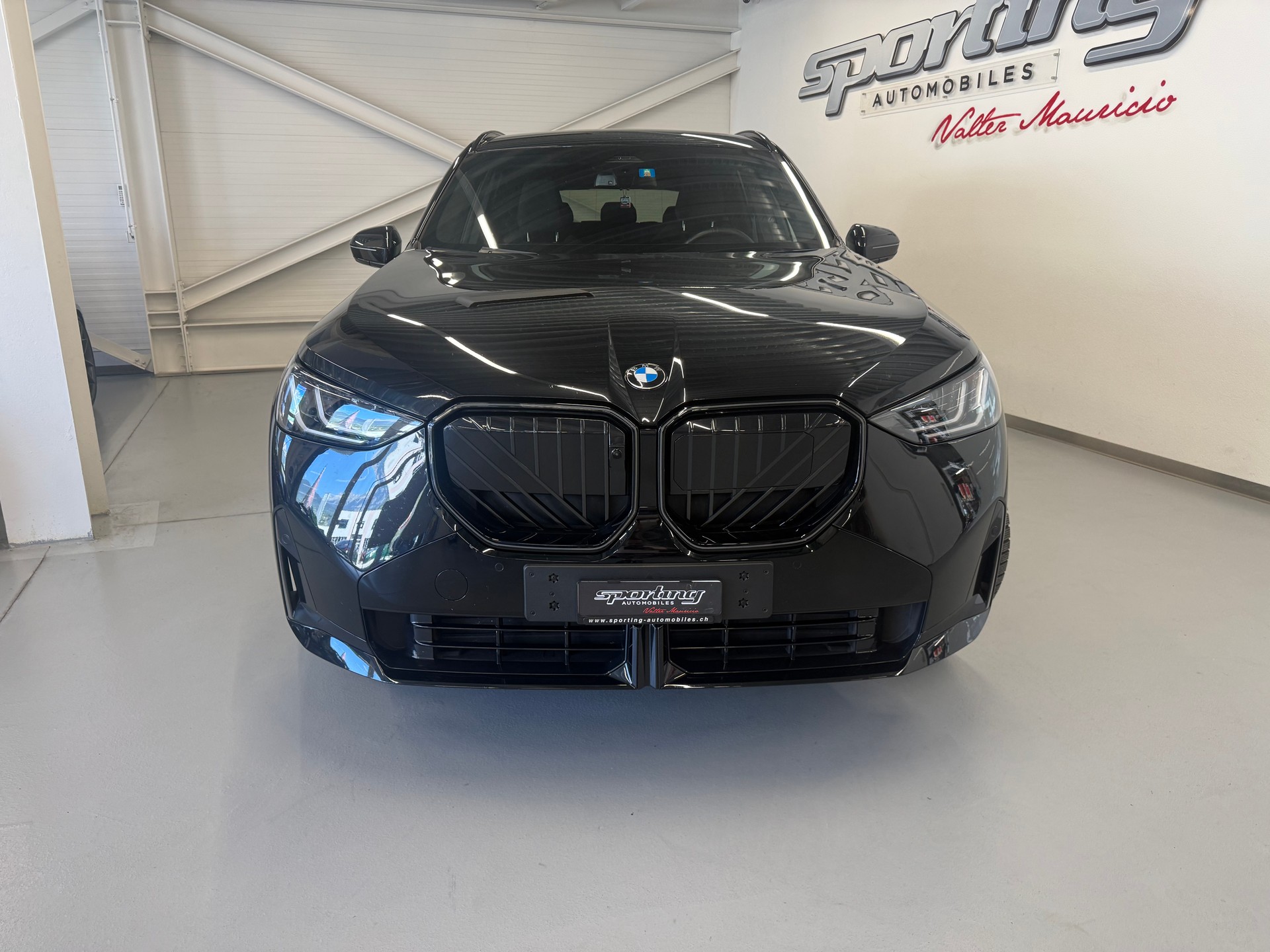 BMW X3 xDrive 30e M Sport Pro-image-2