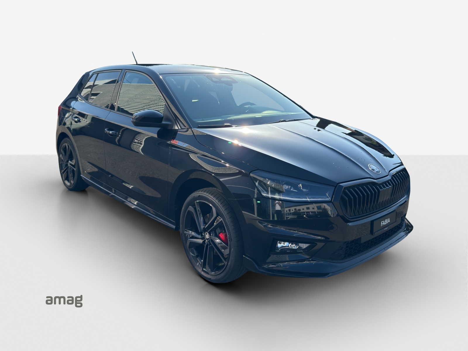 SKODA Fabia 1.5 TSI 130 DSG-image-5