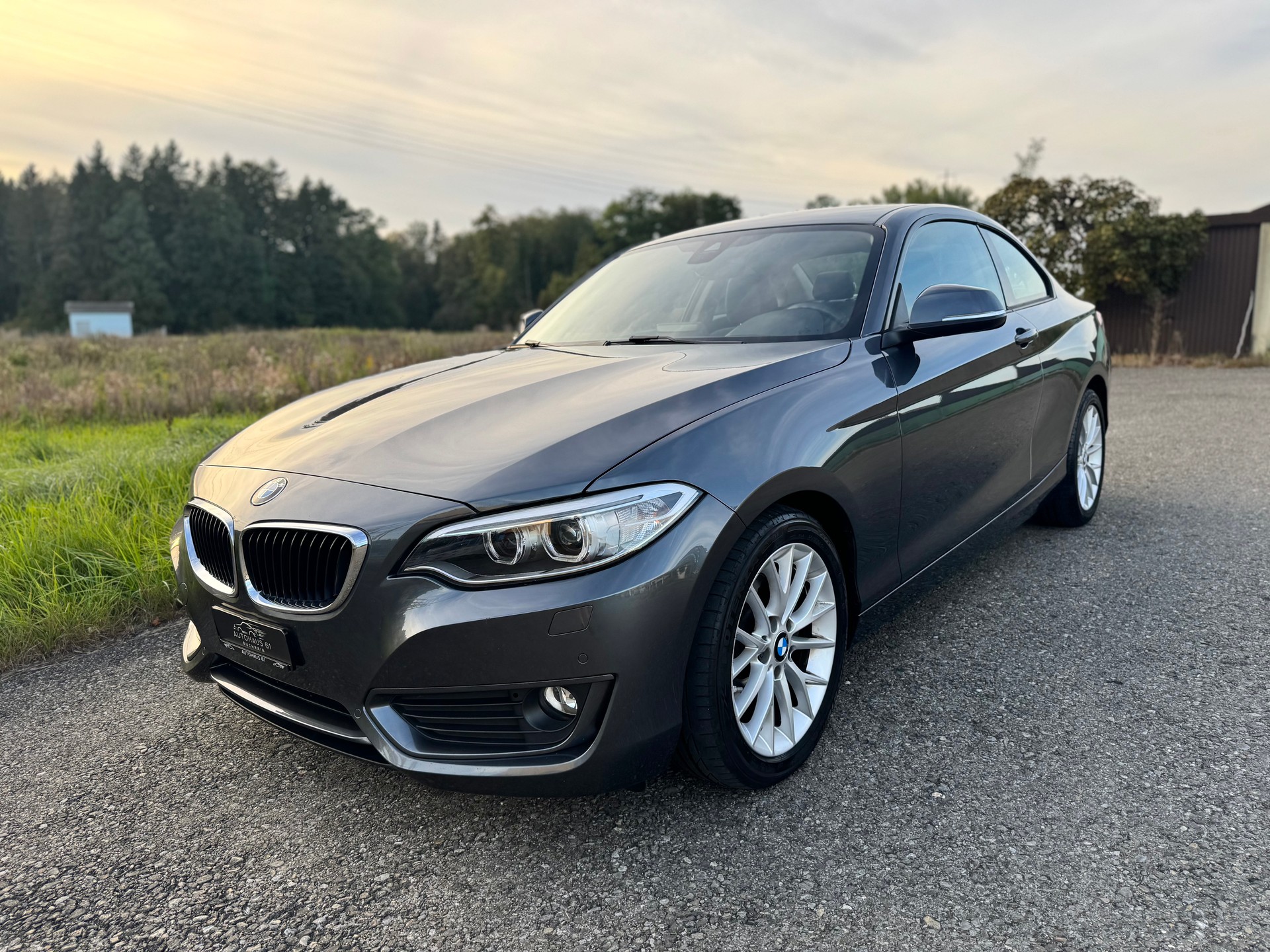 BMW 220i Modern Line Steptronic / ab MFK bei Verkauf-image-2