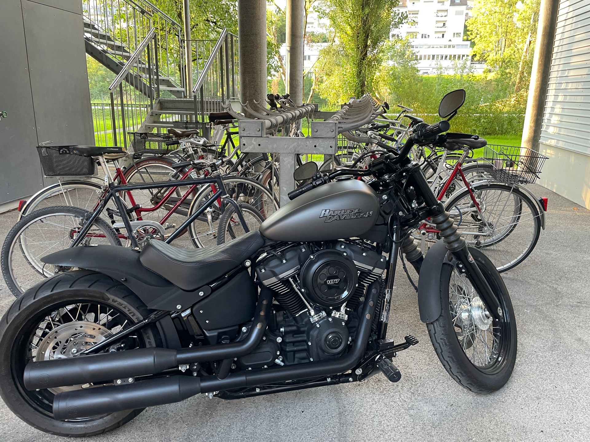 HARLEY-DAVIDSON Street Bob Industrial Gray Denim FXBB-image-2