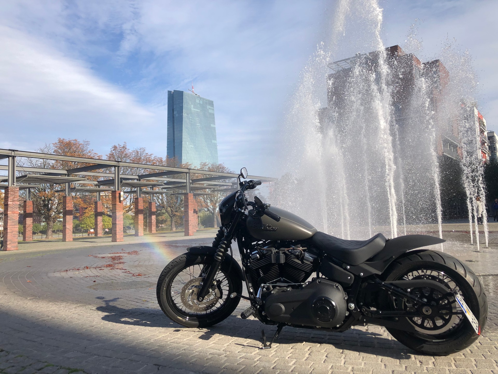 HARLEY-DAVIDSON Street Bob Industrial Gray Denim FXBB-image-3