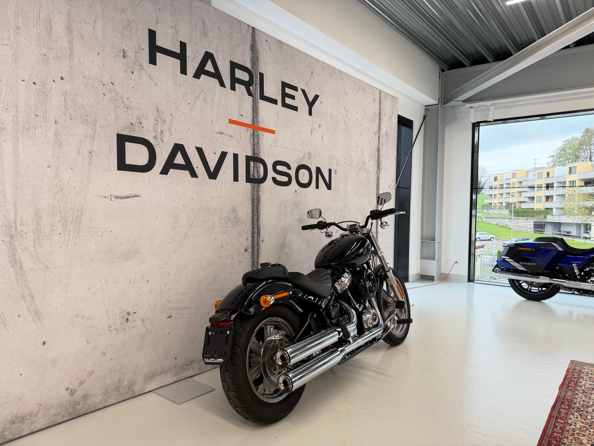 HARLEY-DAVIDSON FXST Softail Standard 107-showroom-element-2